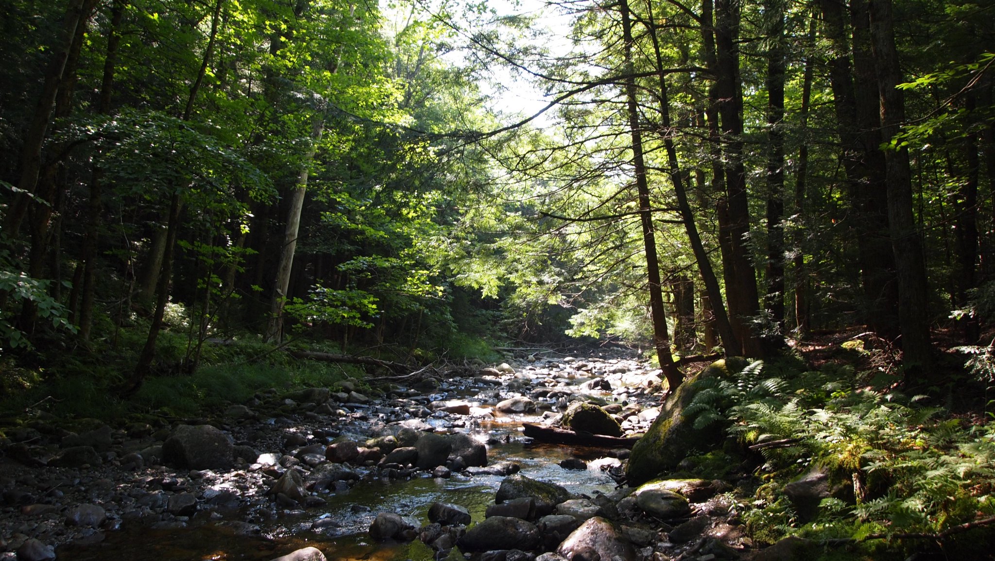 P8129572[1].JPG