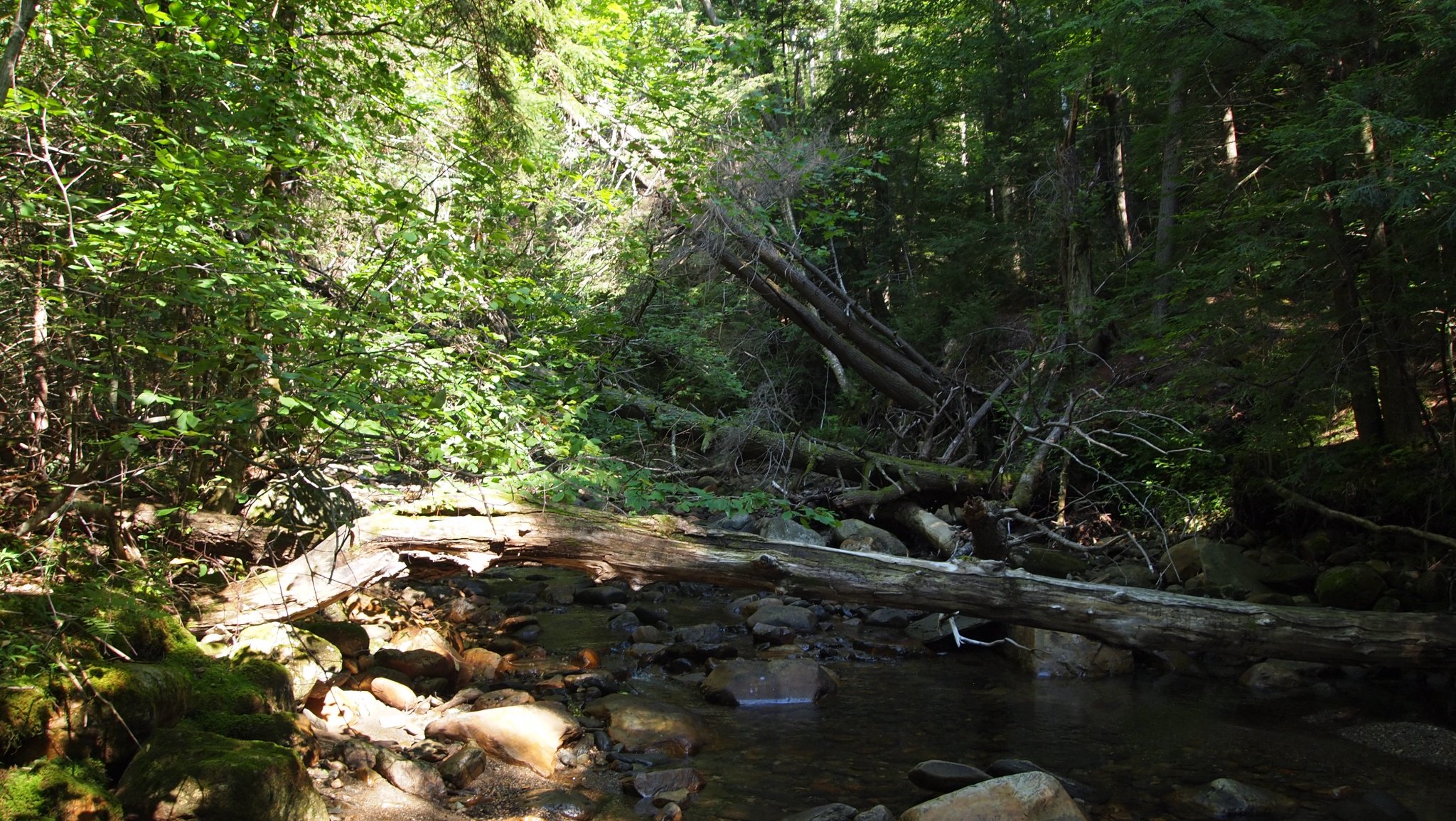 P8129573[1].JPG