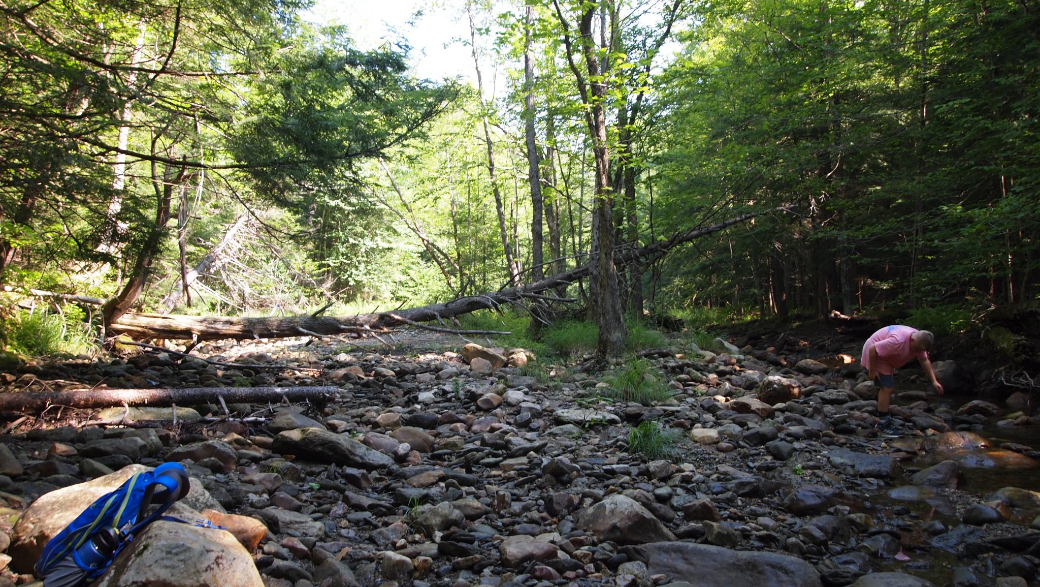 P8129575[1].JPG