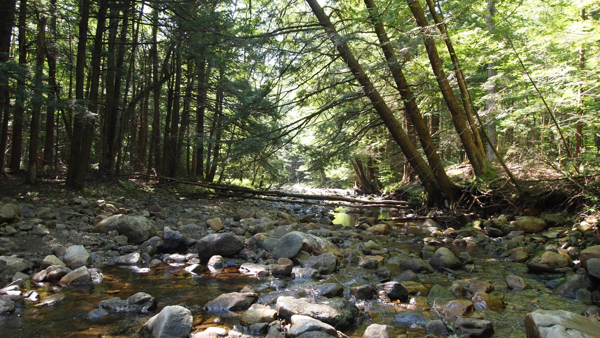 P8129576[1].JPG