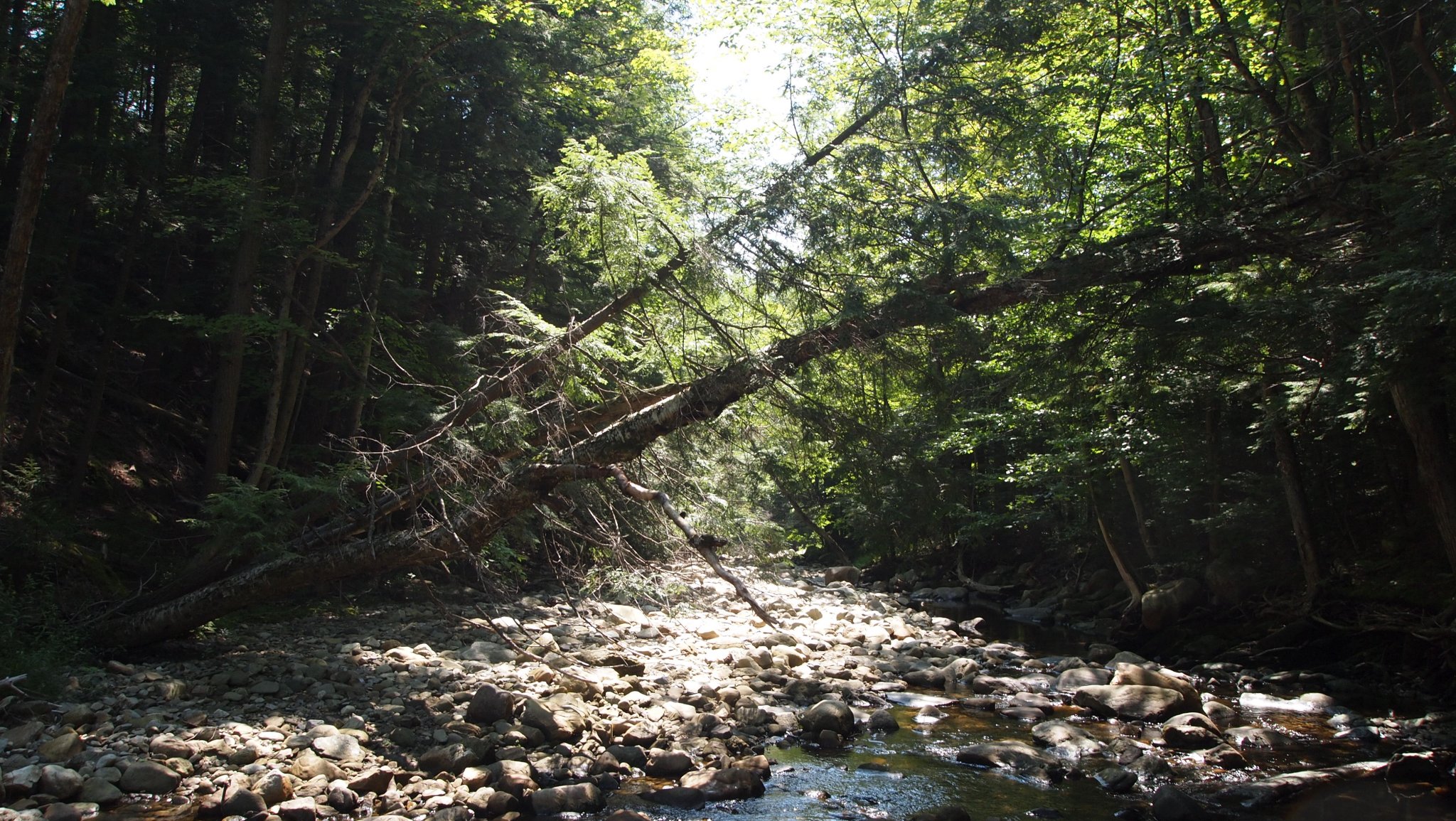 P8129578[1].JPG