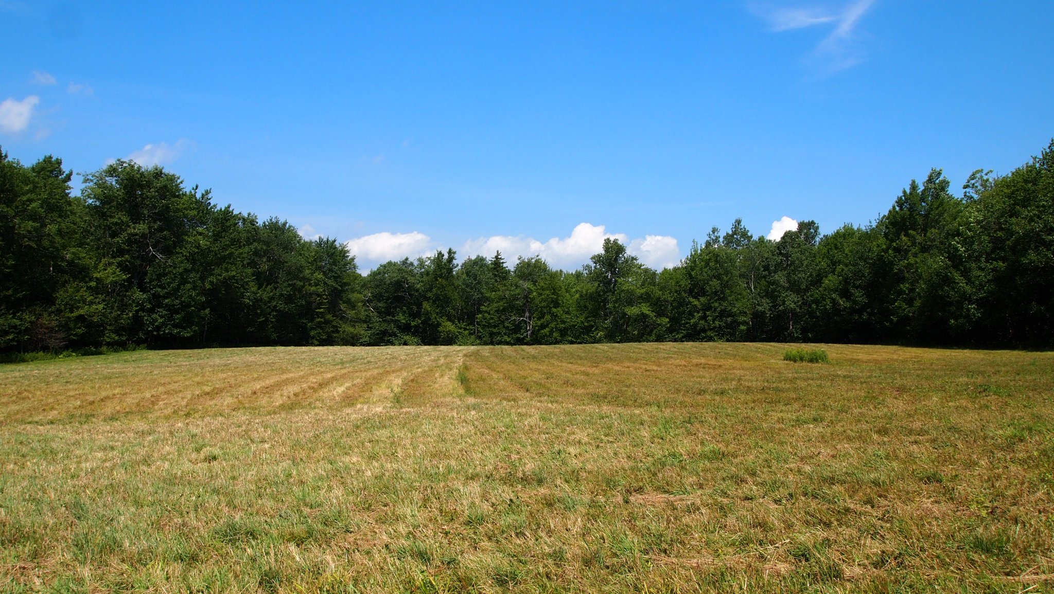 P8129580[1].JPG