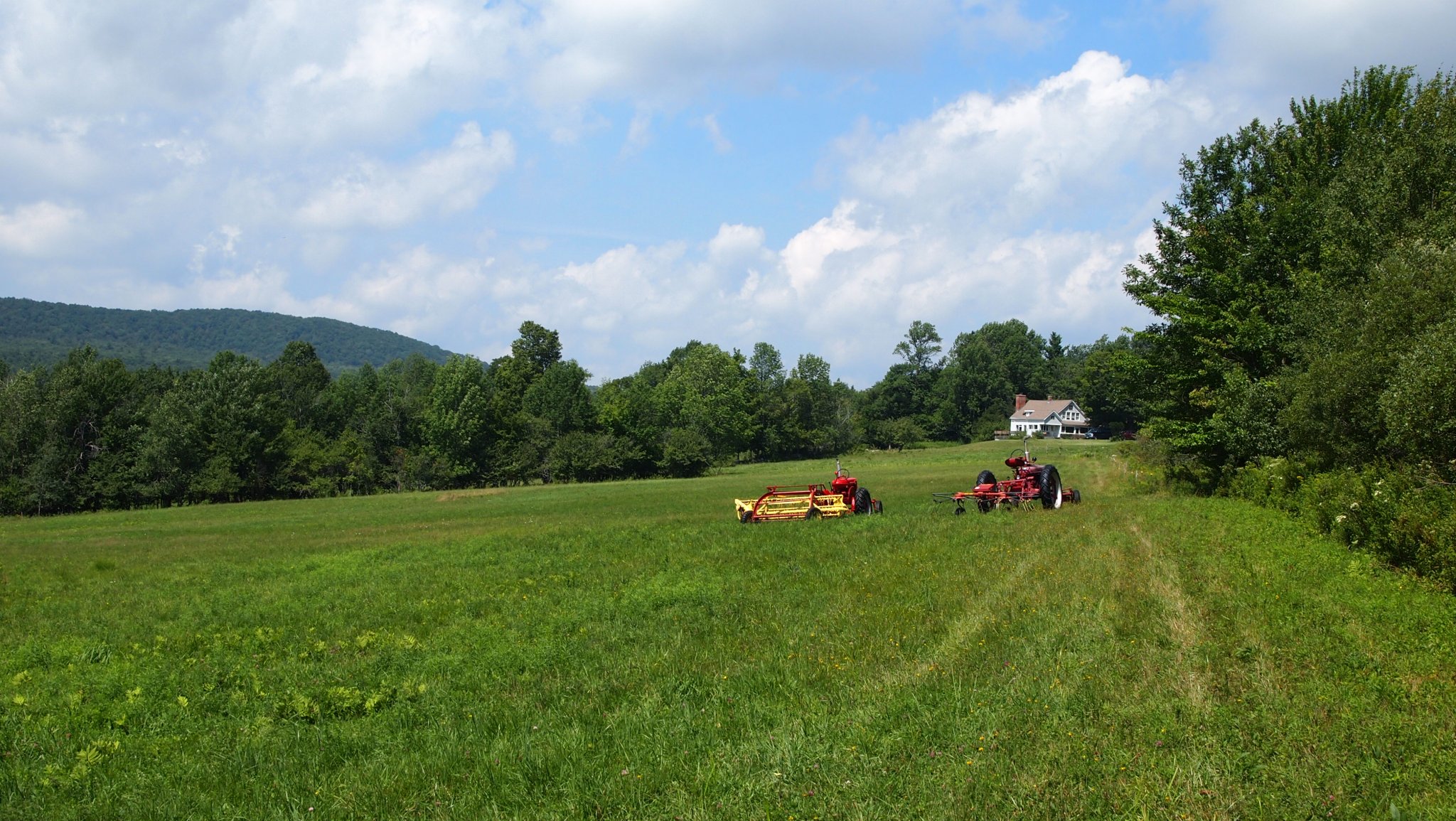 P8129582[1].JPG