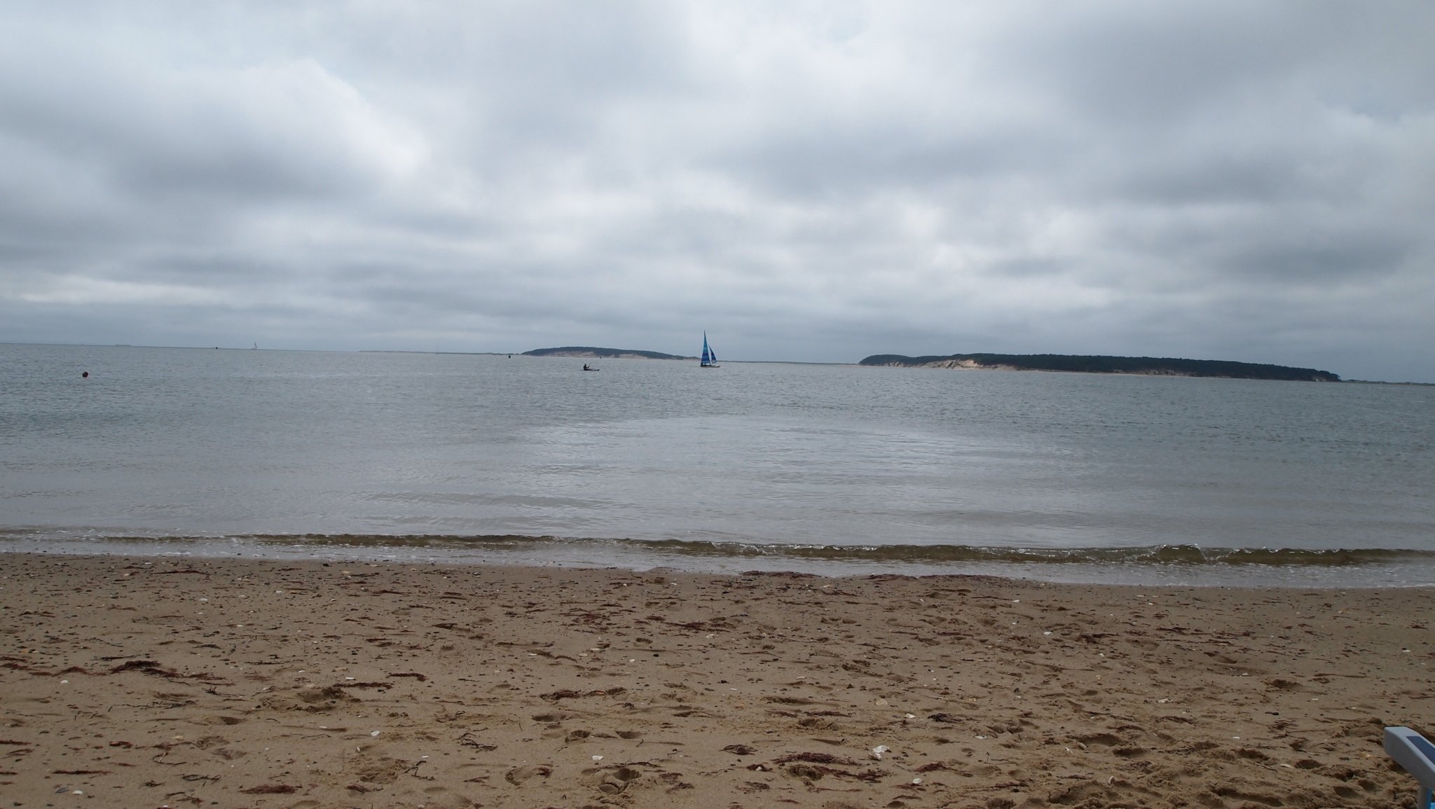 P8138092[1].jpg