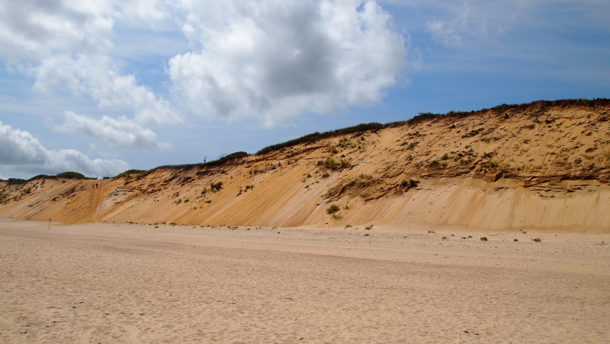 P8138102[1].jpg
