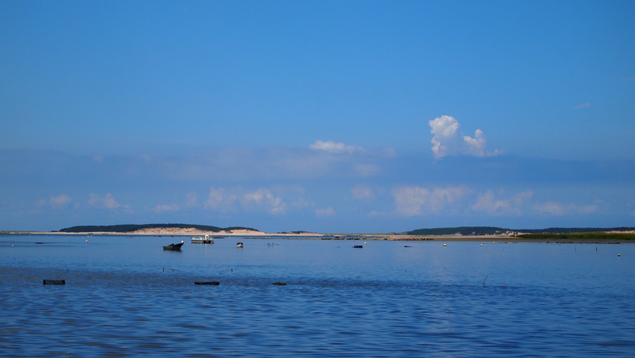 P8148113[1].jpg