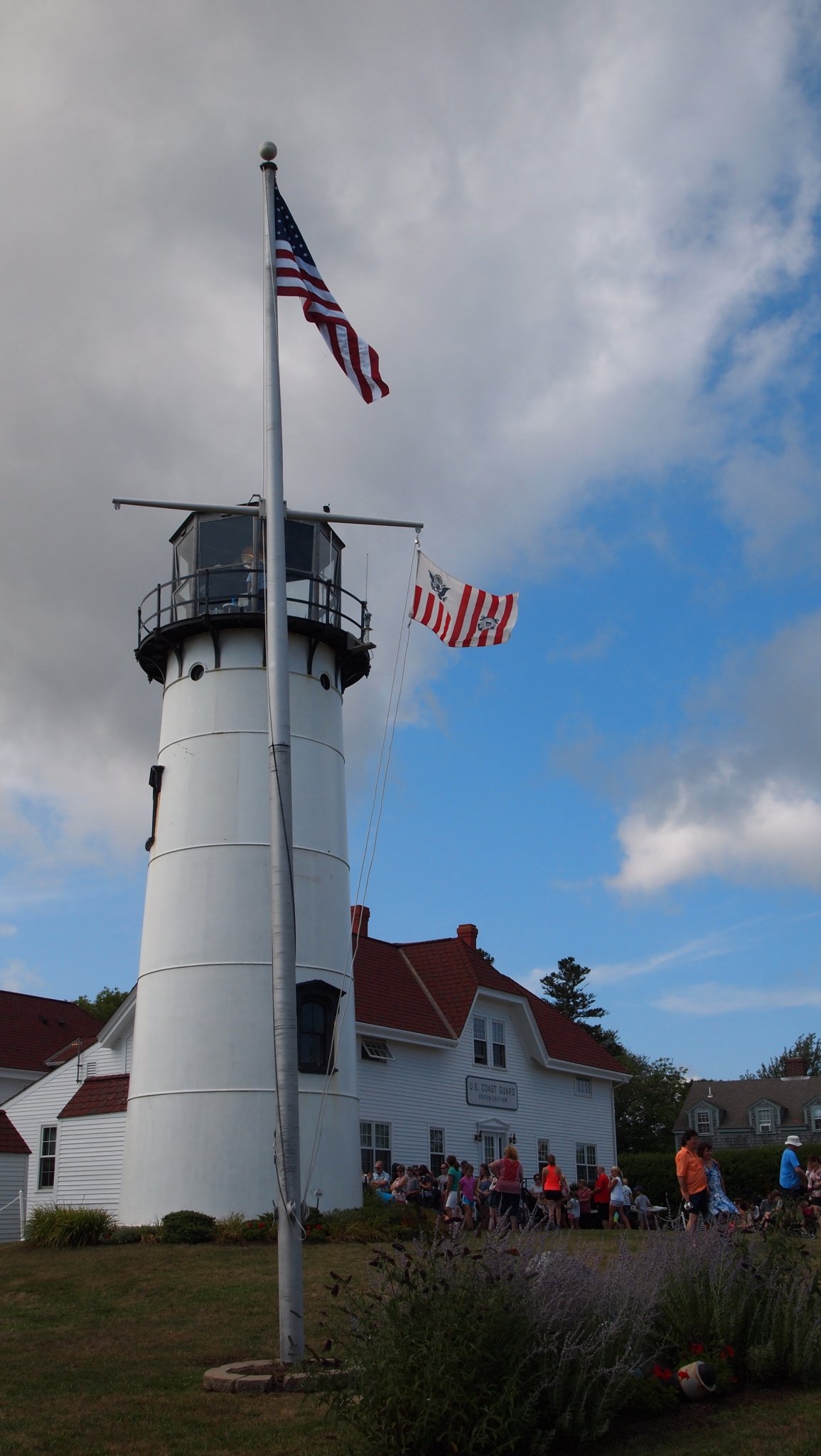 P8158132[1].jpg