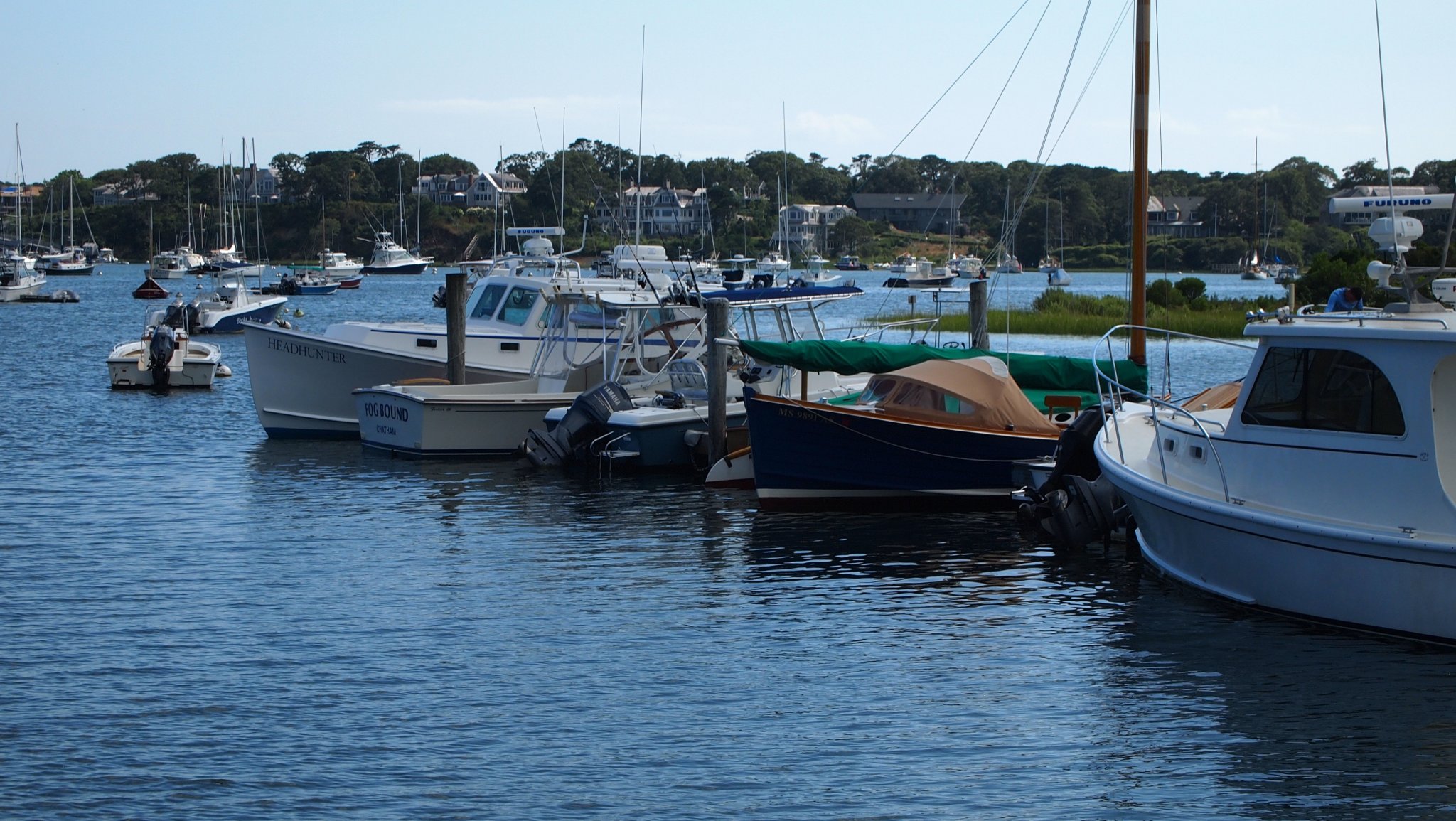 P8158133[1].jpg