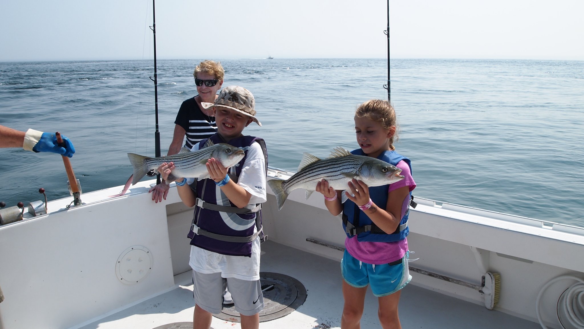 P8158145[1].jpg
