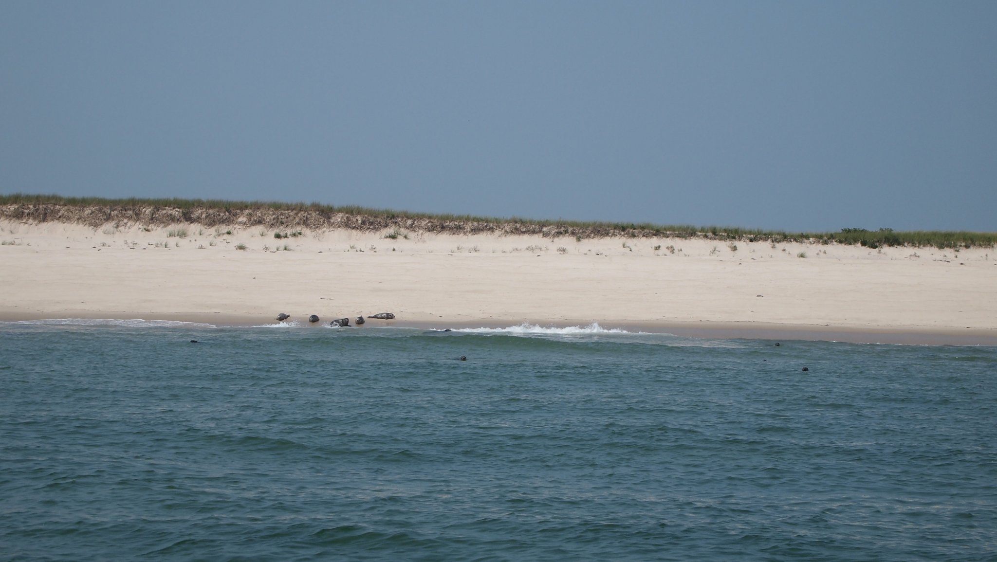 P8158146[1].jpg