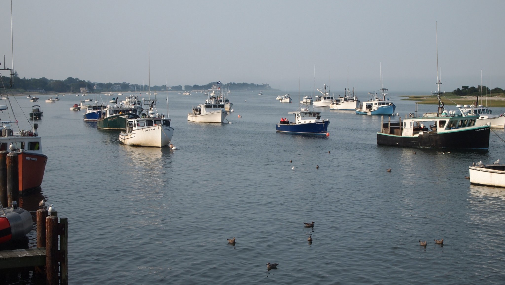 P8178188[1].jpg