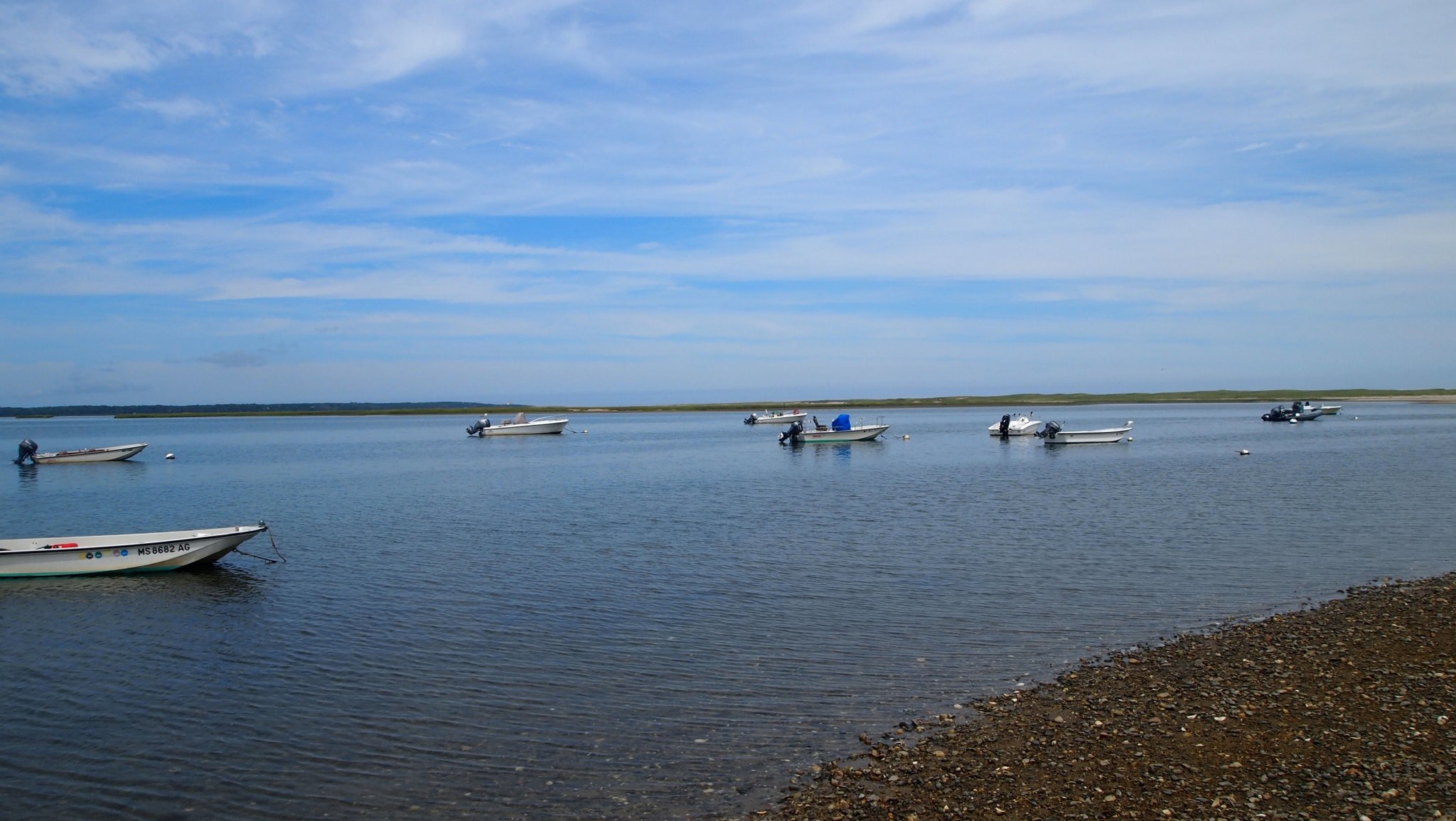 P8178793[1].jpg