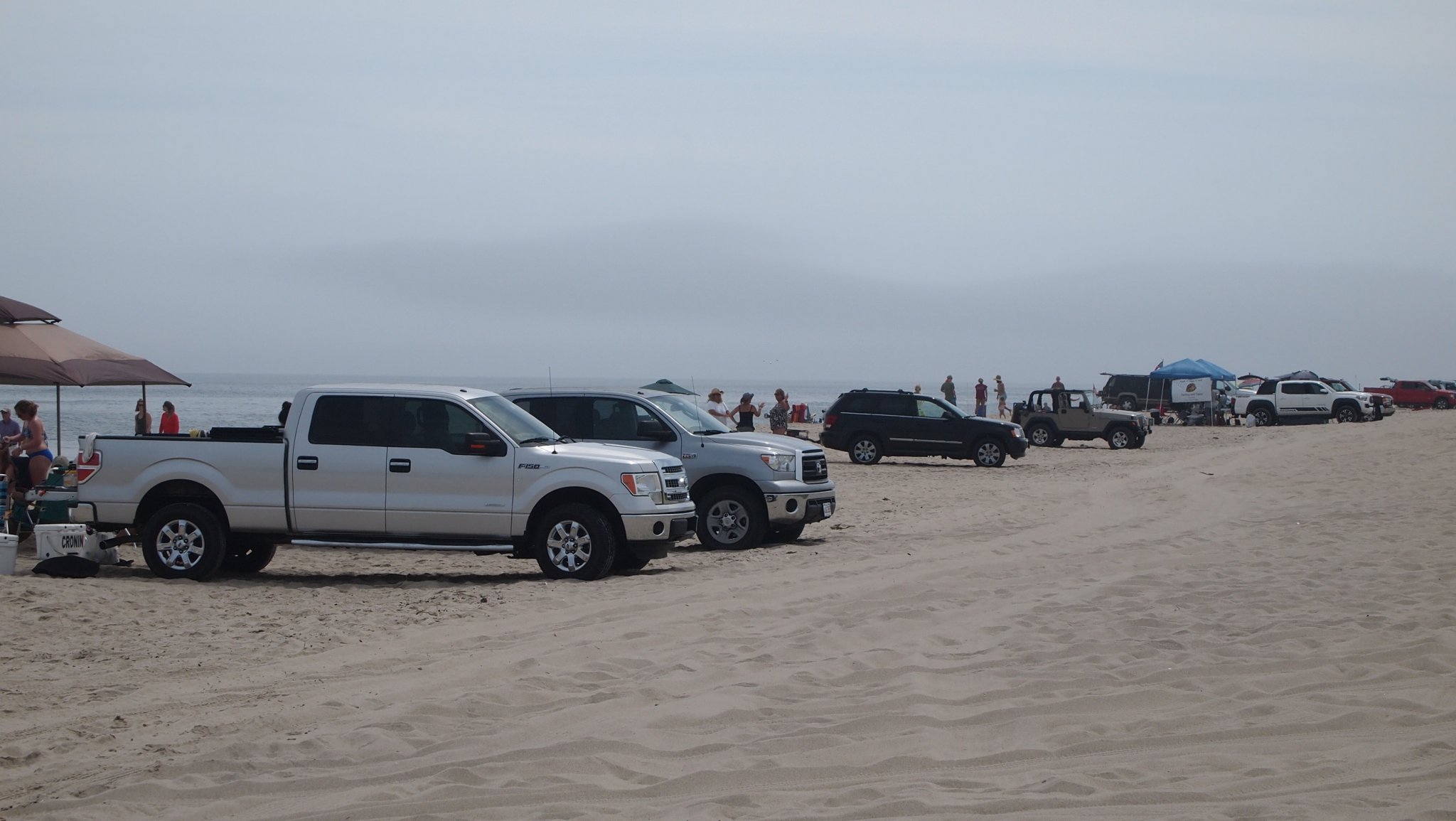 P8178797[1].jpg