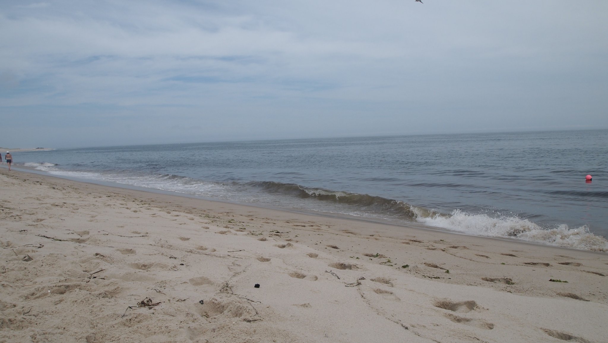 P8178800[1].jpg