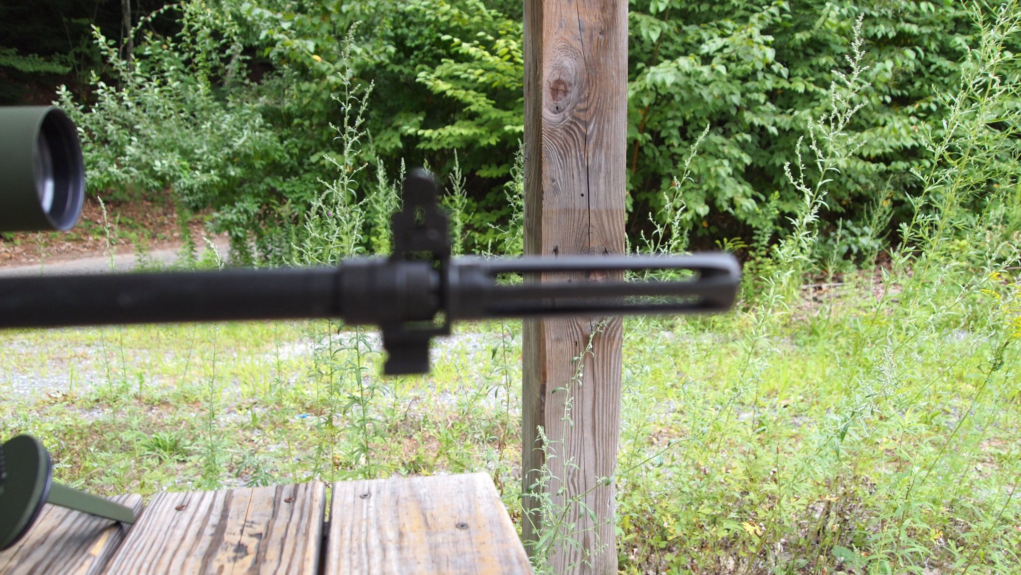 P8179613[1].JPG