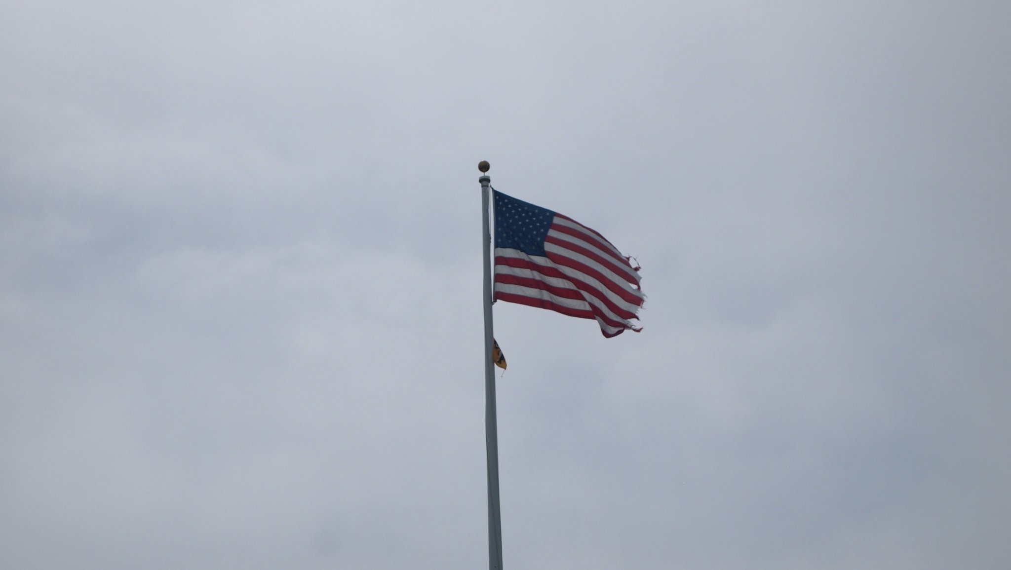 P8188805[1].jpg