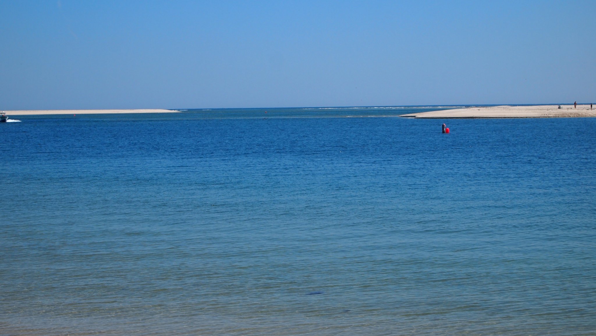P8198821[1].jpg