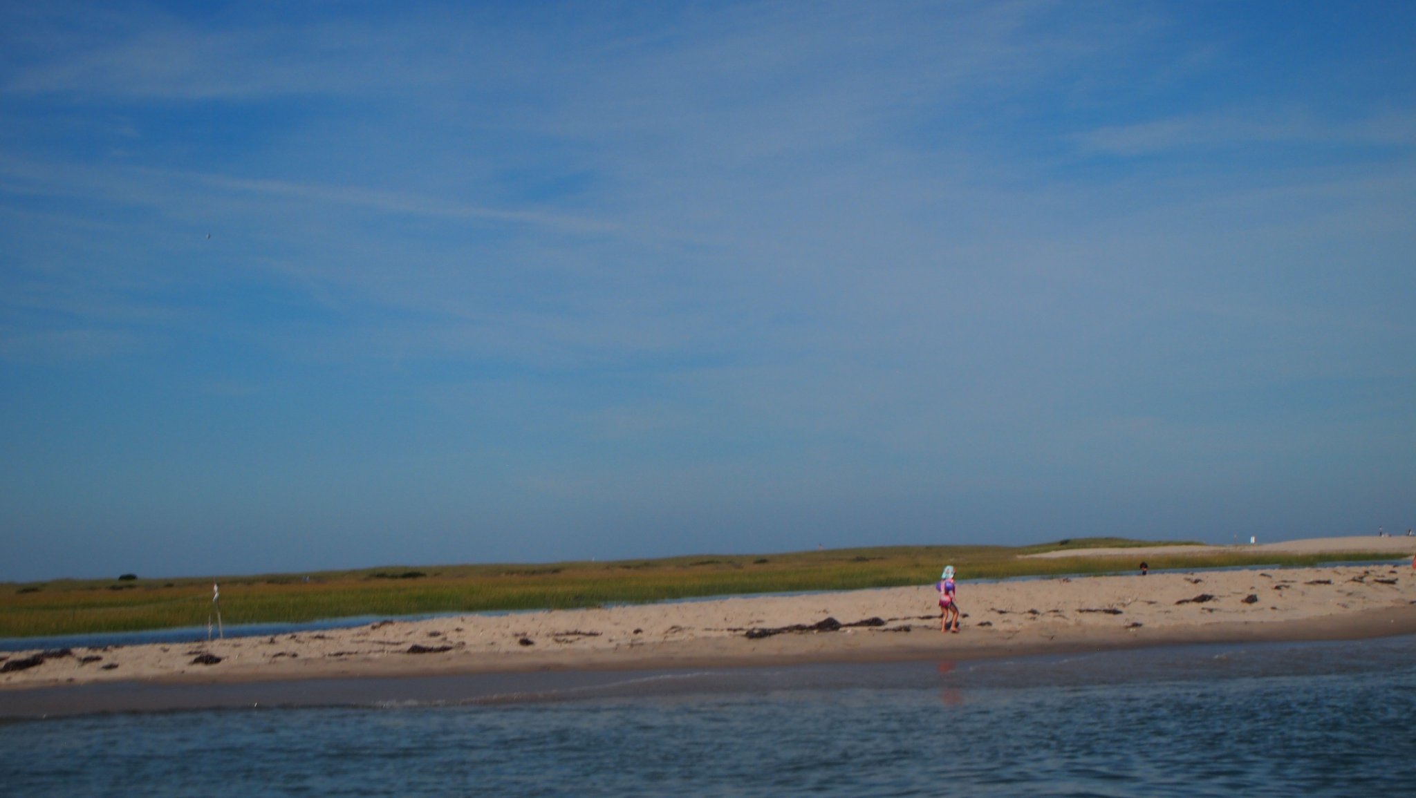 P8208832[1].jpg