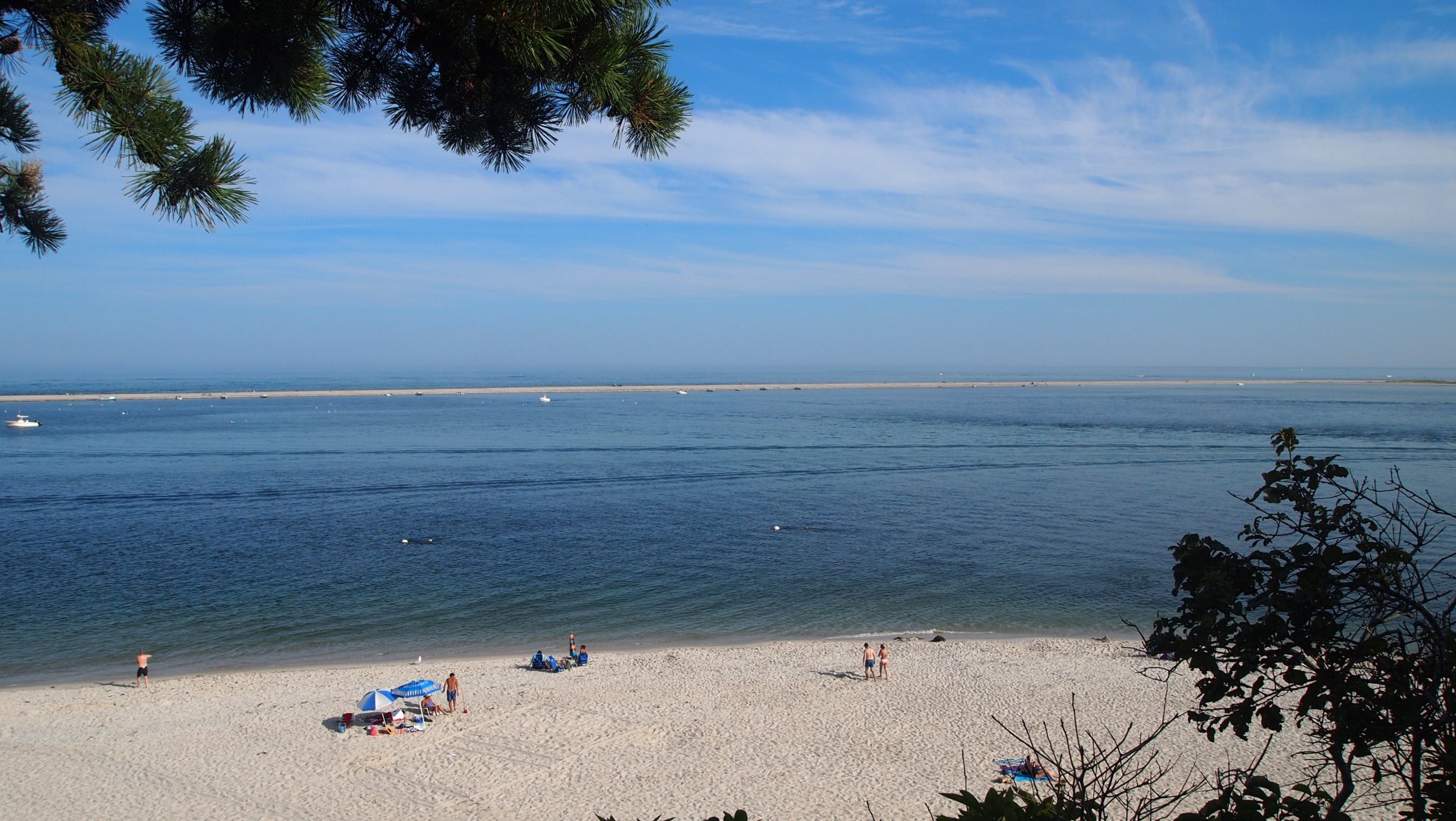 P8208835[1].jpg