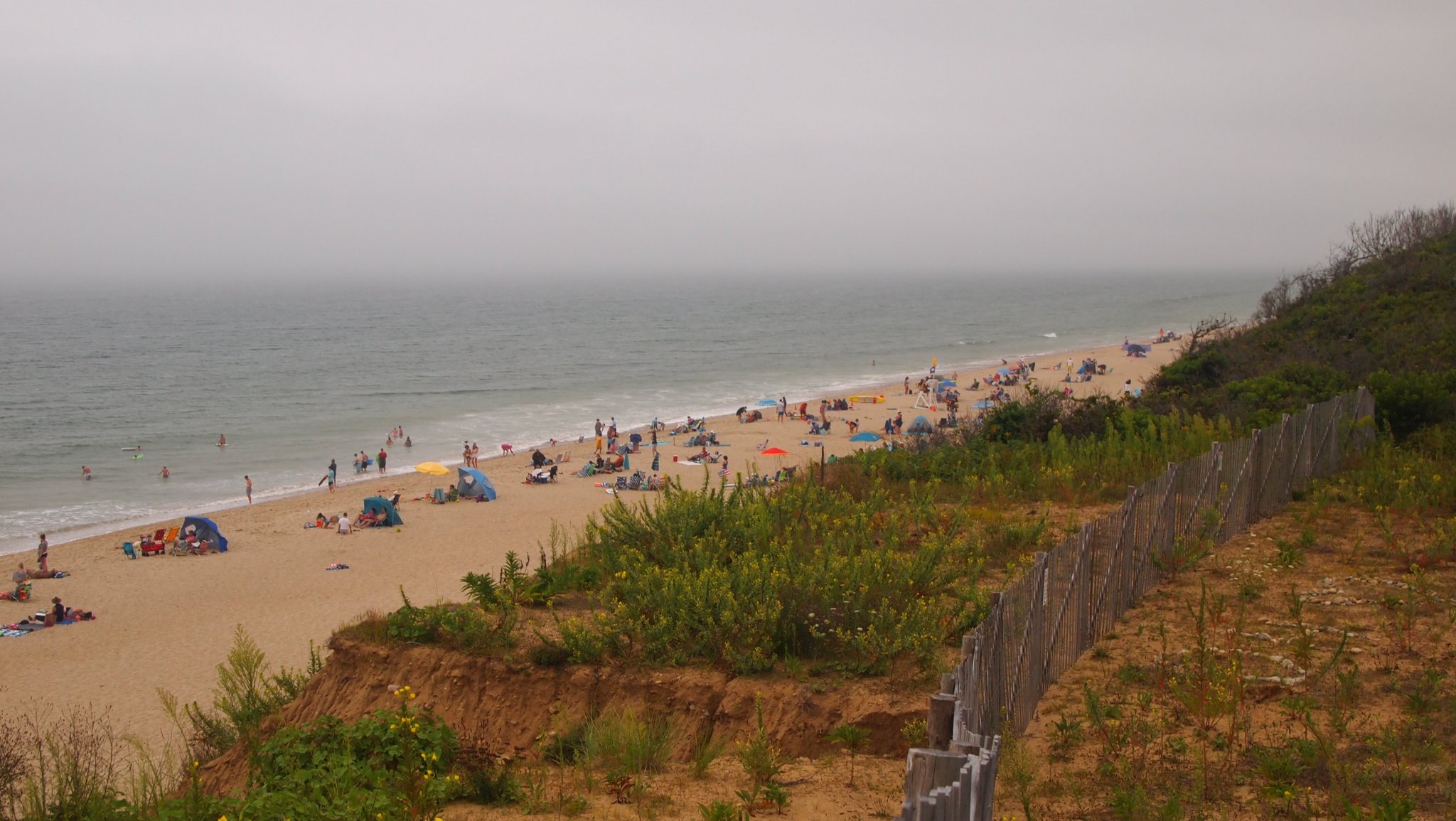 P8208837[1].jpg