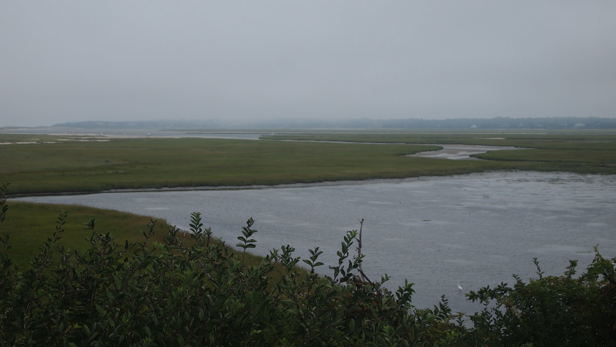 P8208840[1].jpg