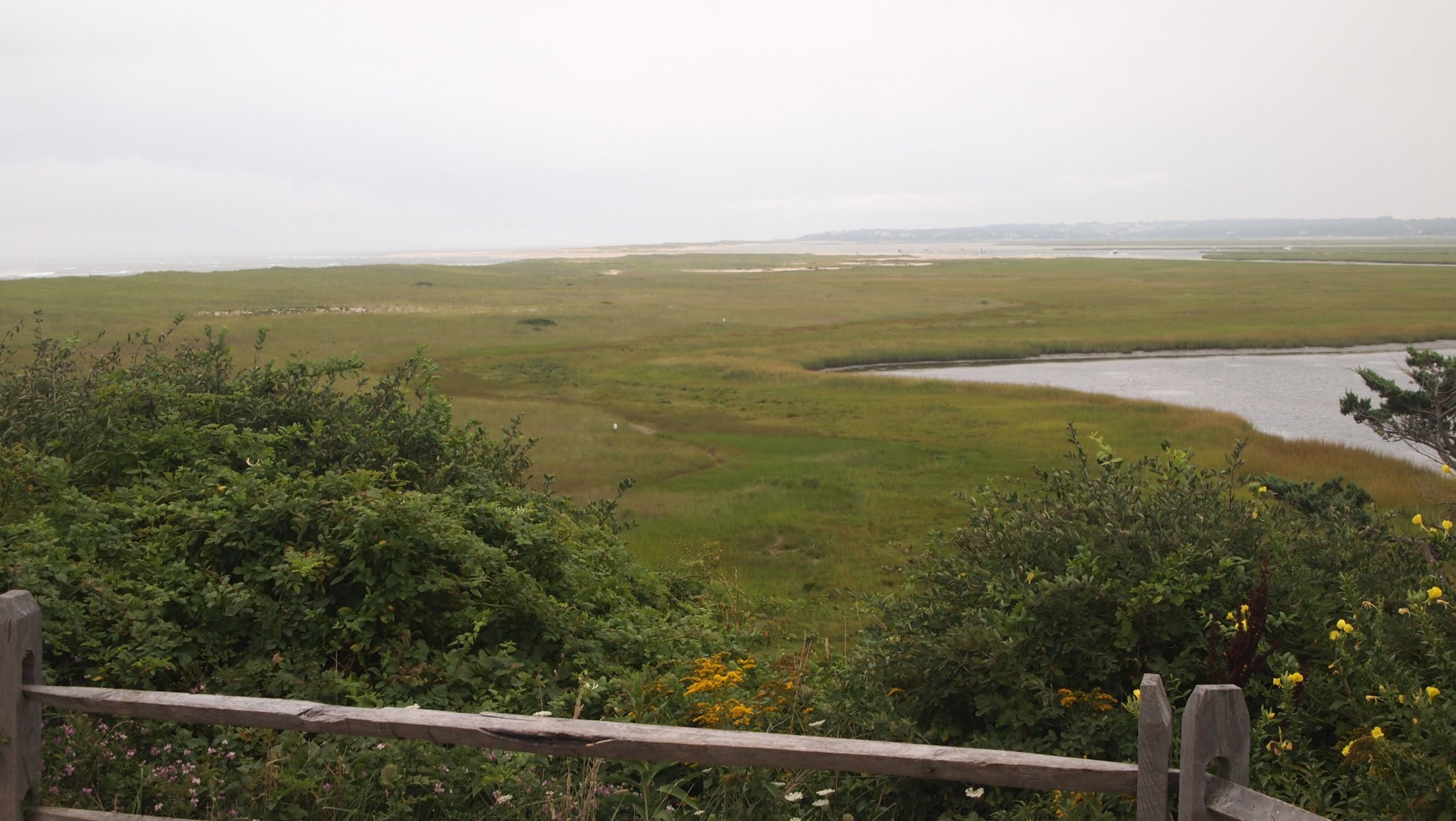 P8208843[1].jpg