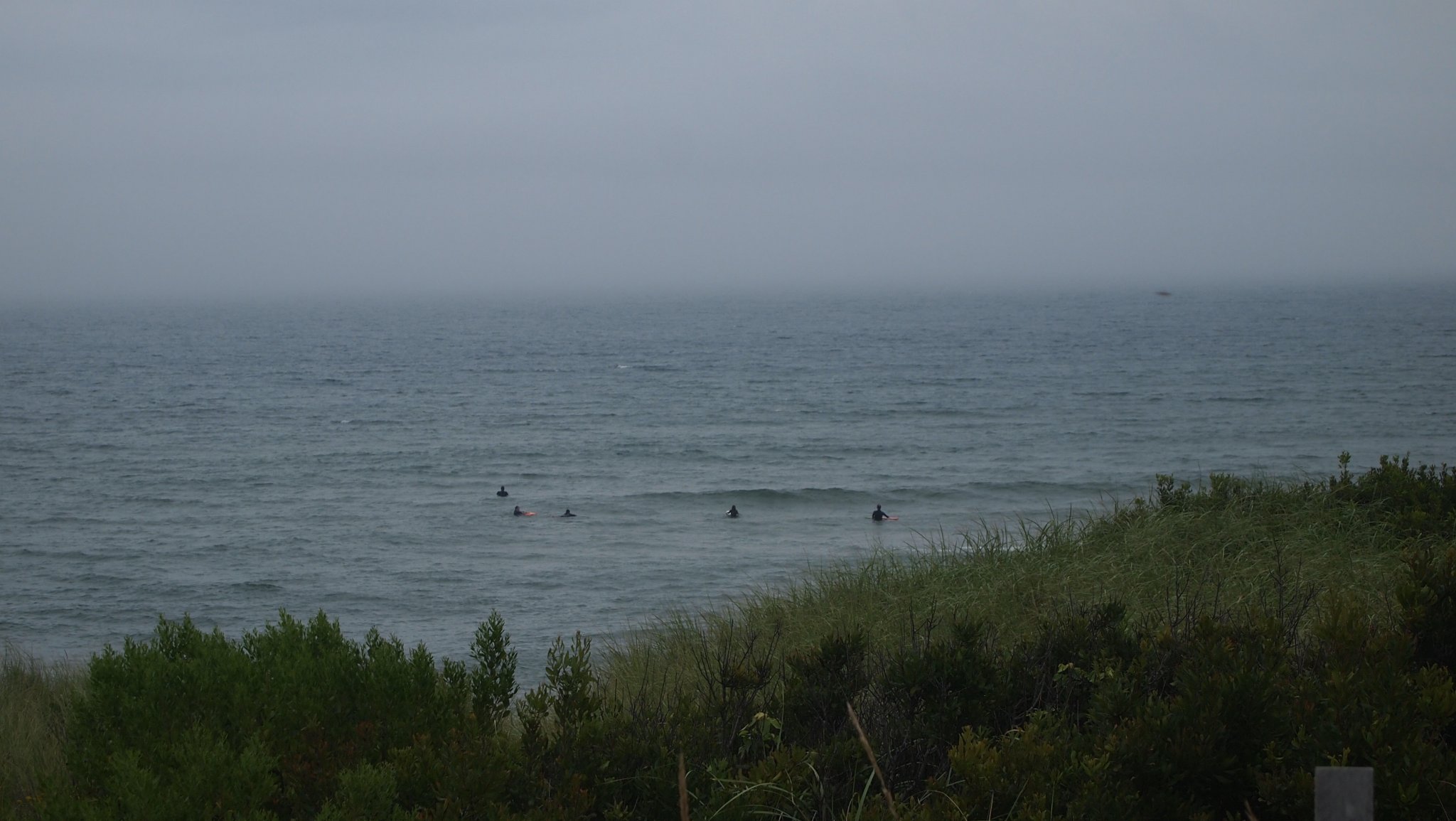P8208844[1].jpg