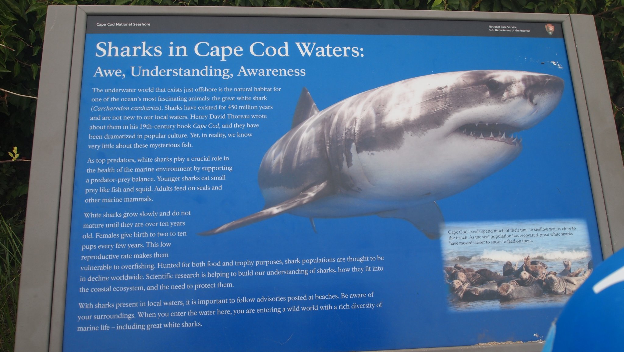 P8208845[1].jpg