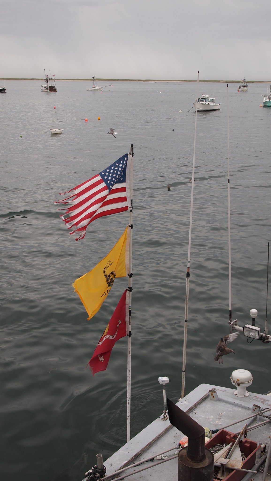 P8209678[1].jpg