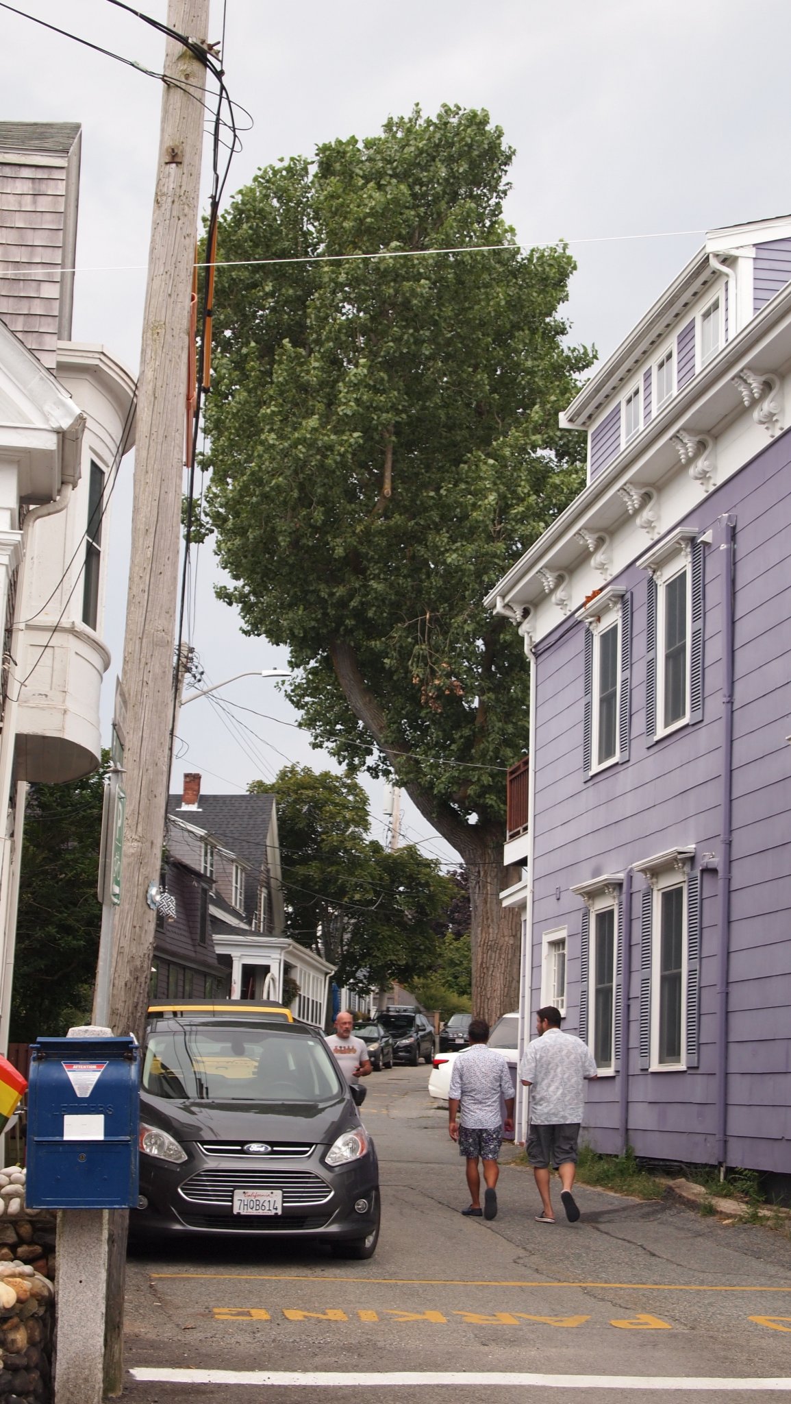 P8218851[1].jpg