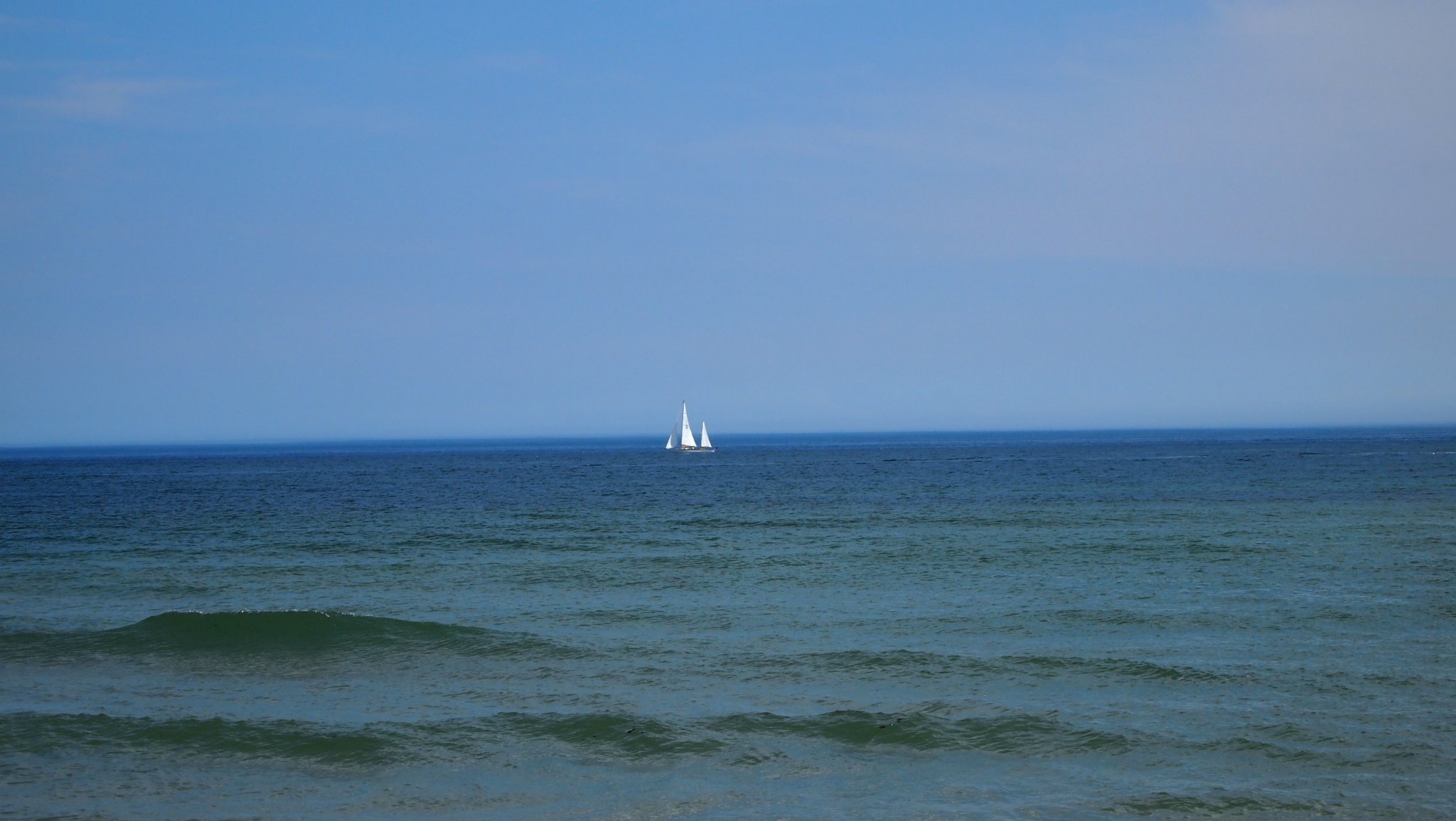 P8218876[1].jpg