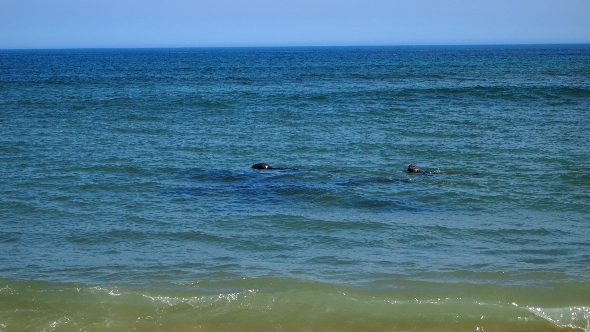 P8228880[1].jpg