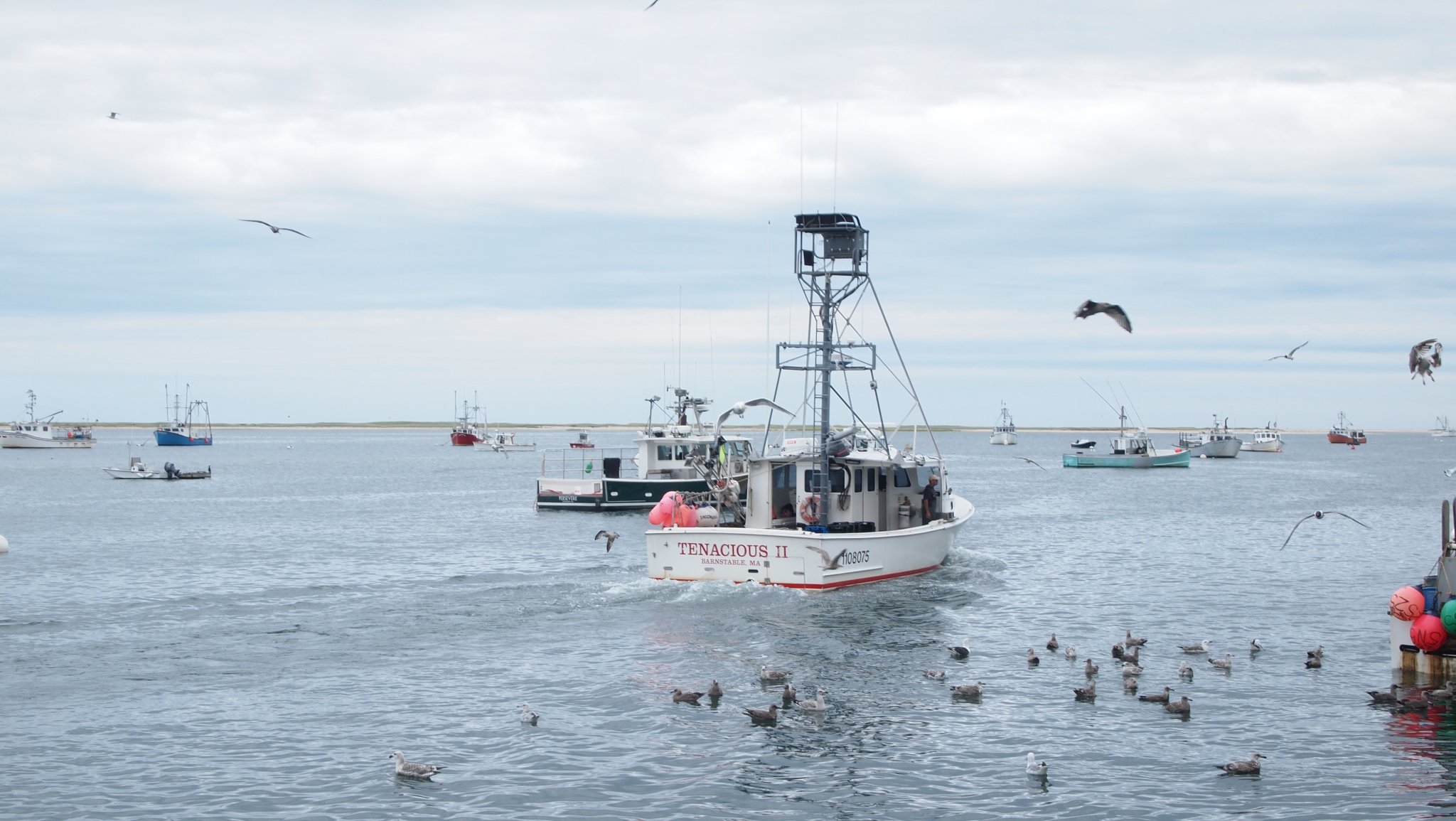 P8238886[1].jpg