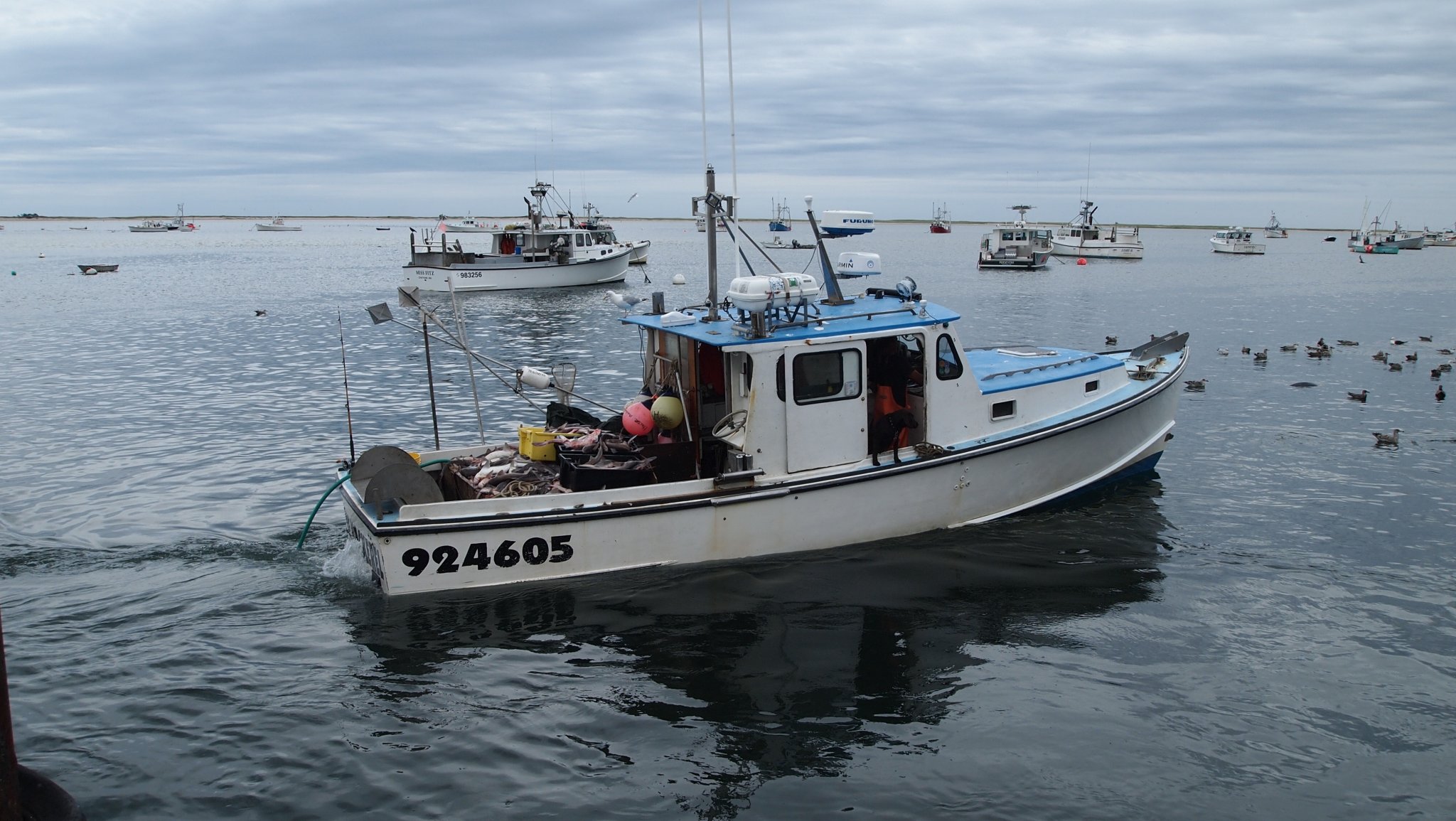 P8238895[1].jpg