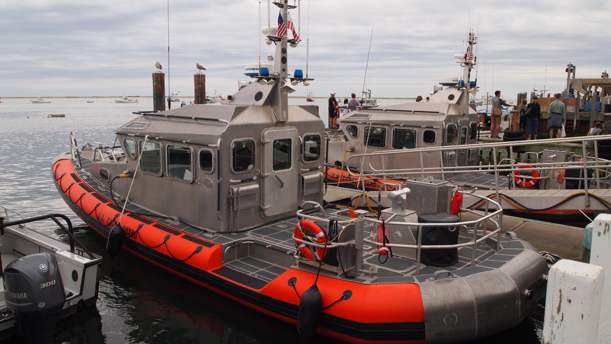 P8238896[1].jpg