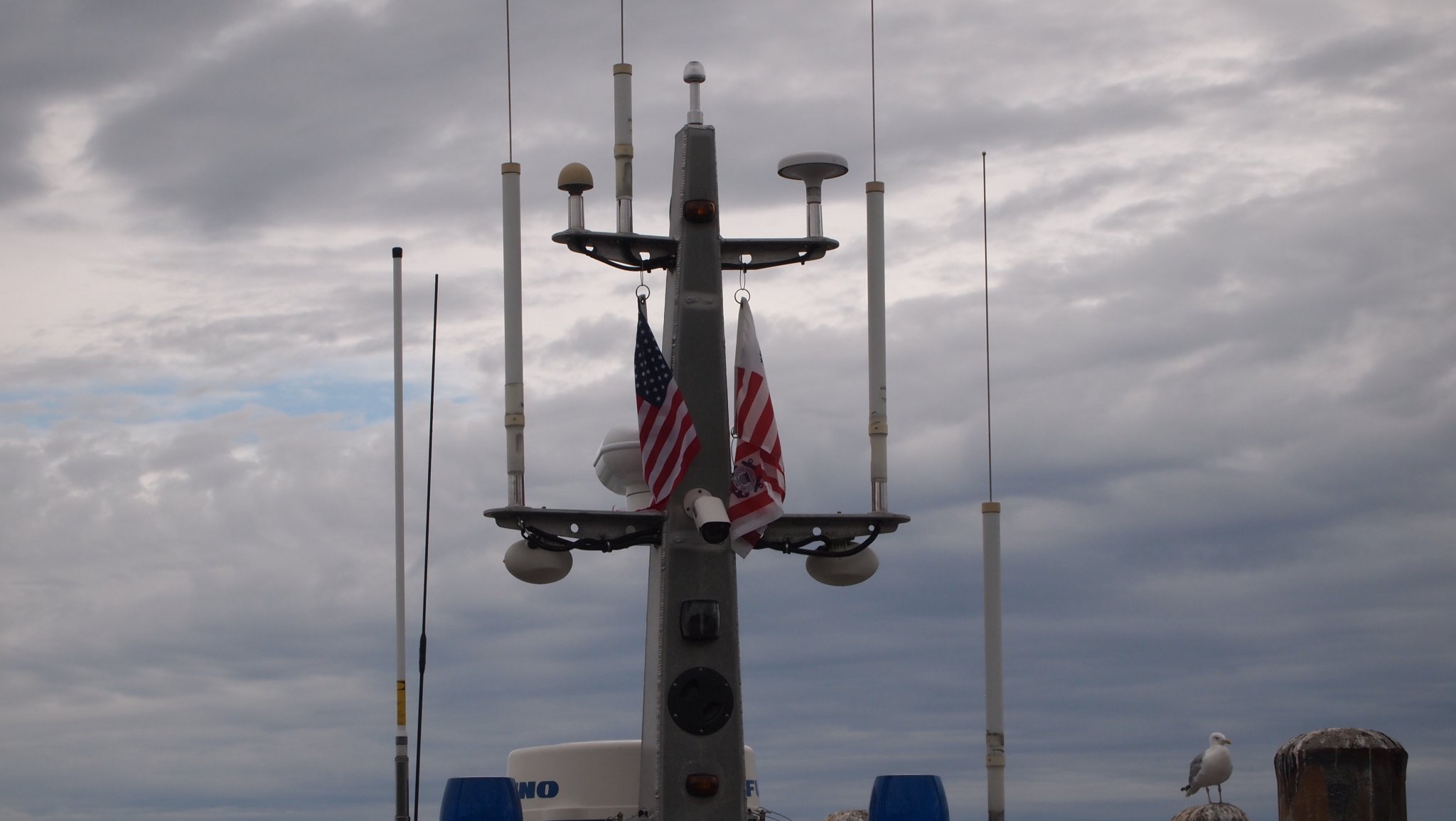 P8238897[1].jpg