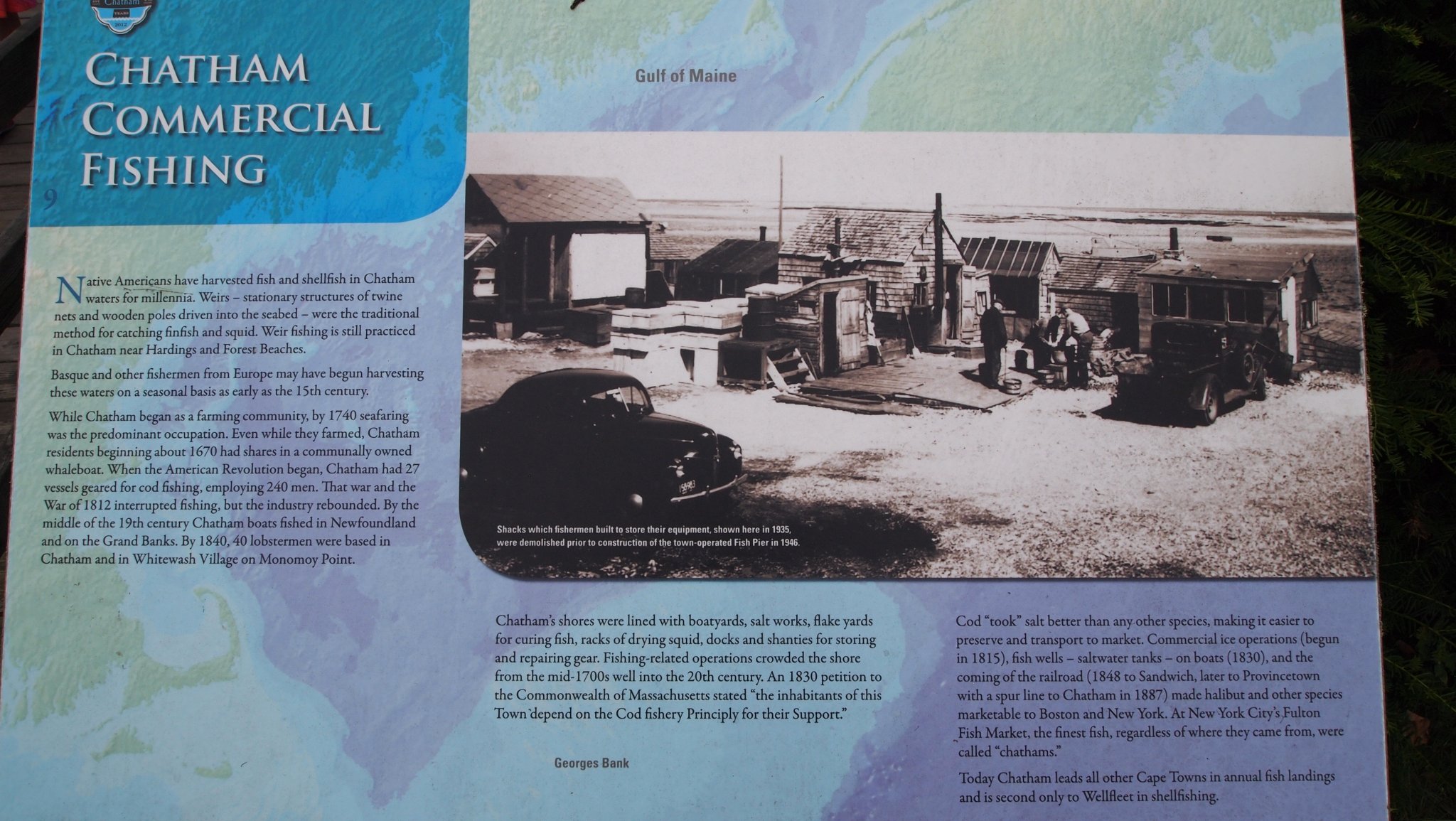 P8238899[1].jpg