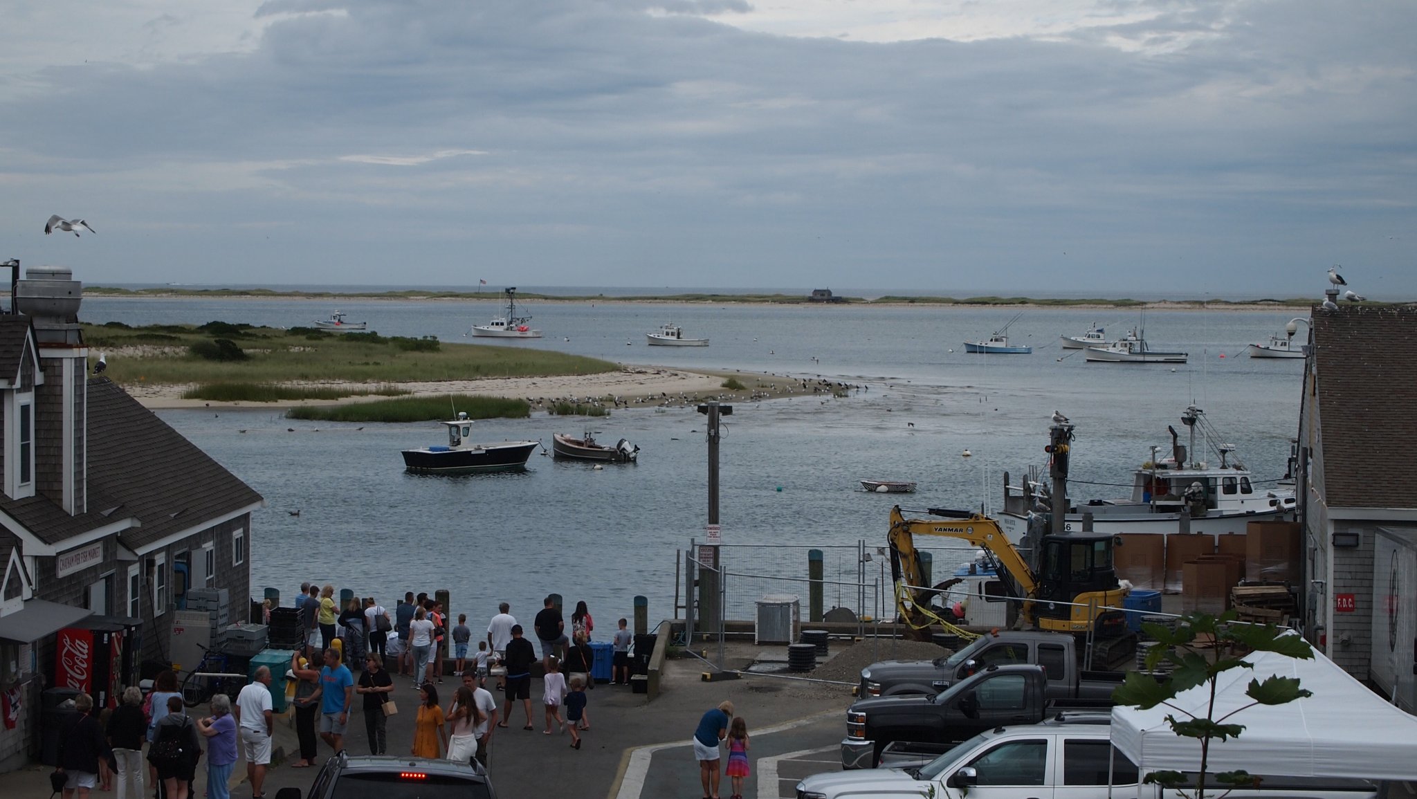 P8238901[1].jpg