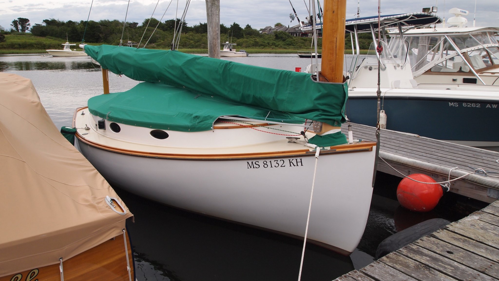 P8238903[1].jpg