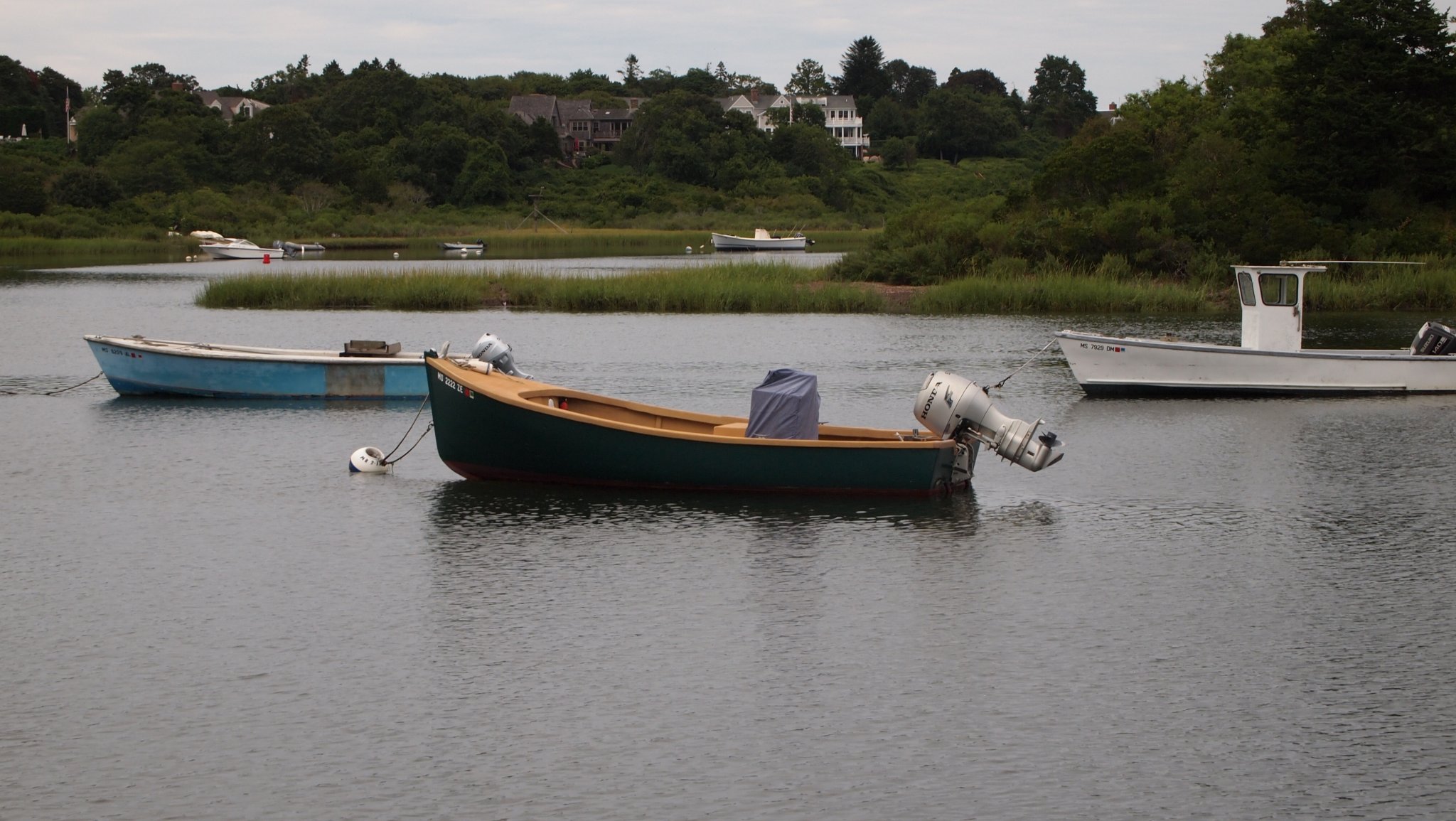 P8238905[1].jpg