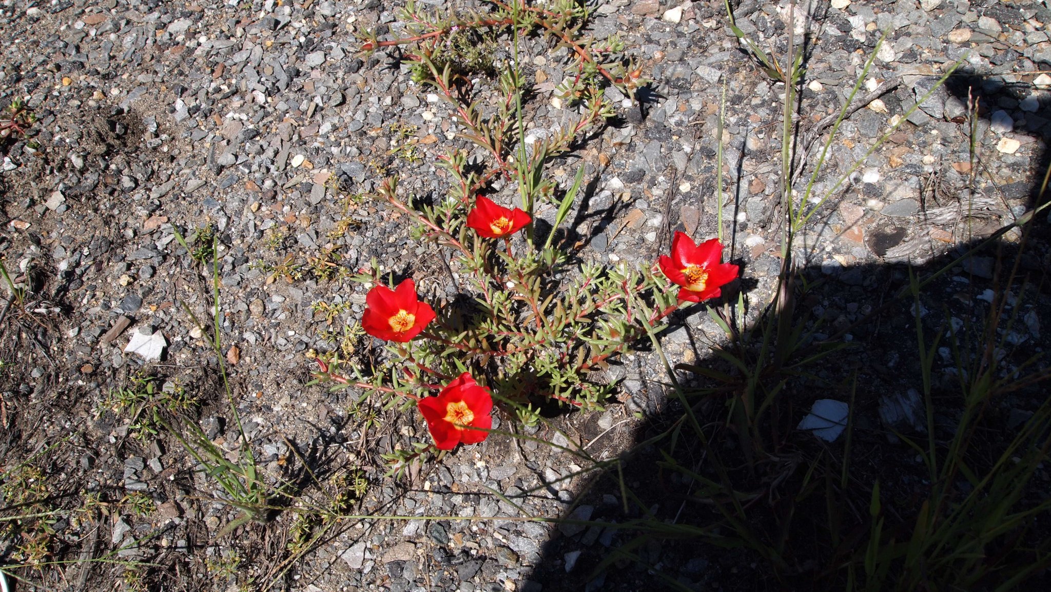P9069778.JPG