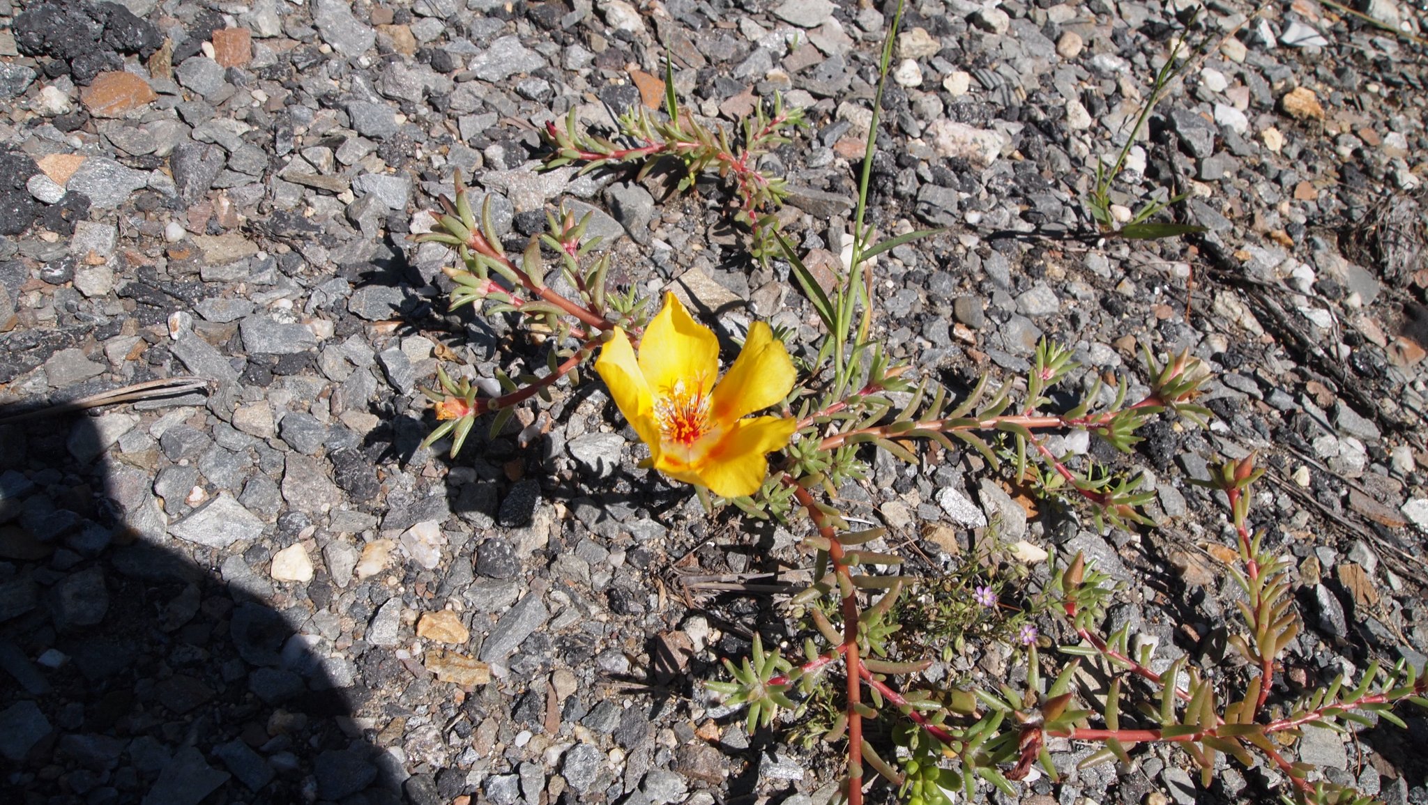 P9069779.JPG