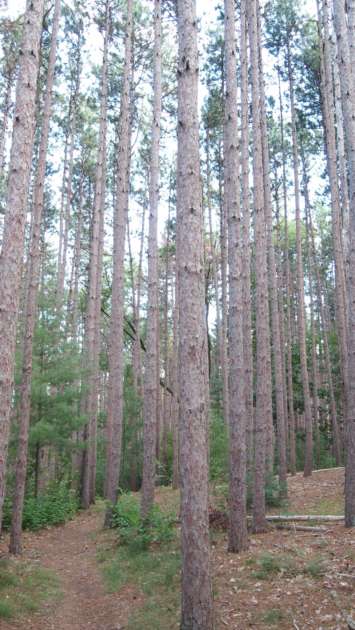 P9069787.JPG