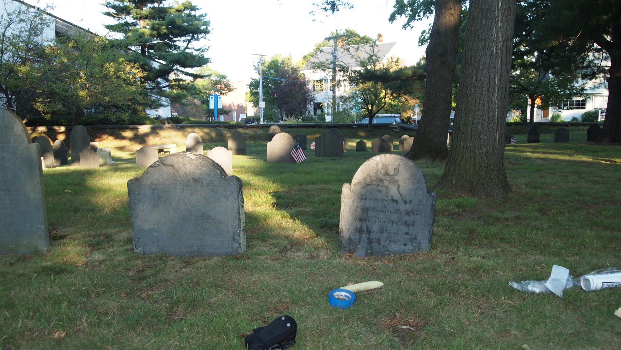 P9168233.JPG