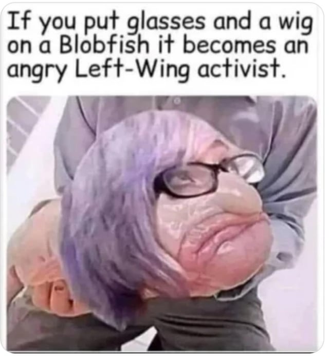 p9wmn3t7hdya1.jpg