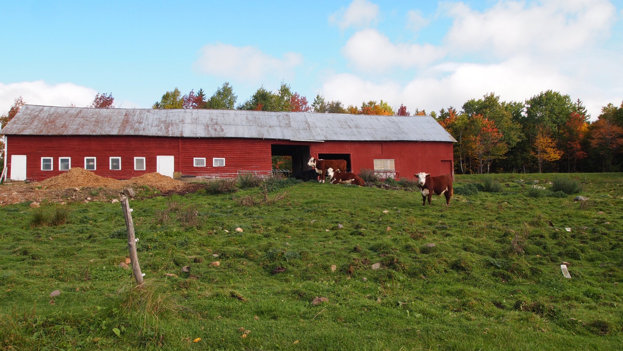 PA049905[1].JPG