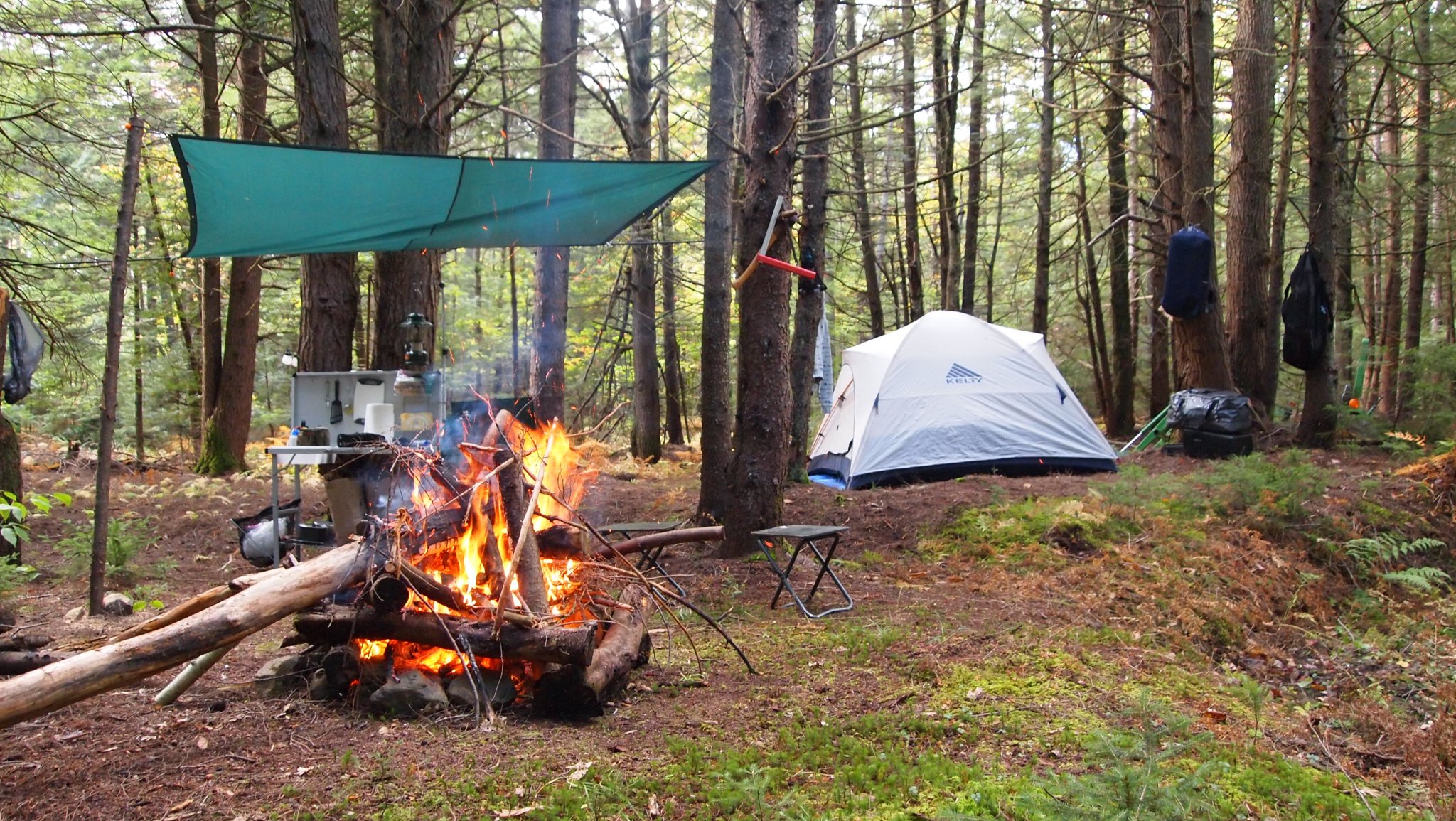 PA049906[1].JPG