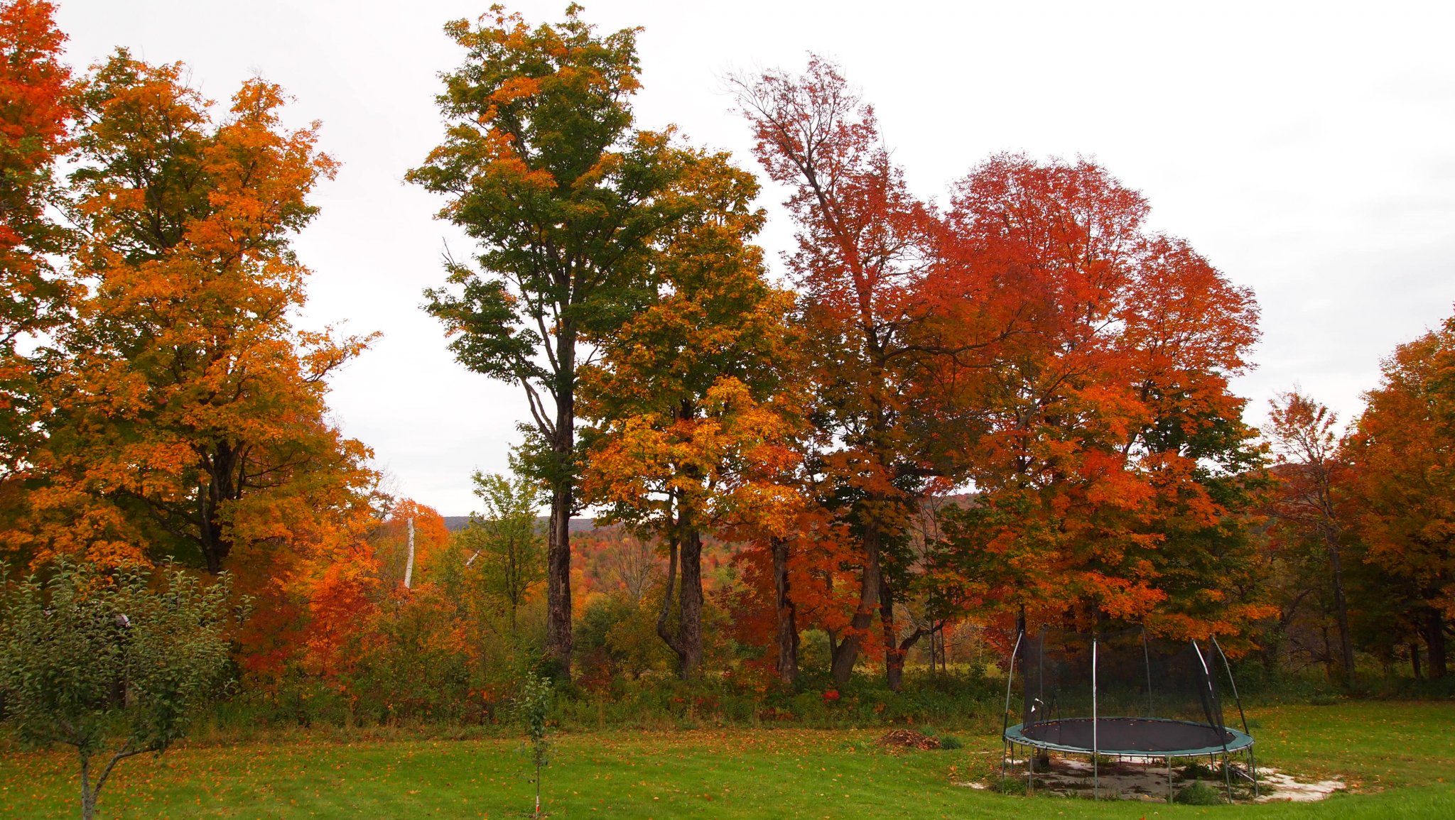PA059918[1].JPG