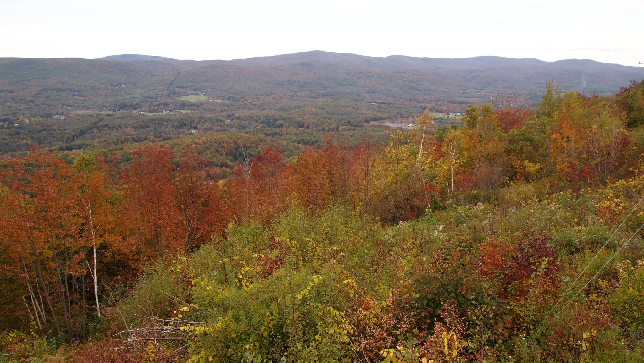 PA059920[1].JPG