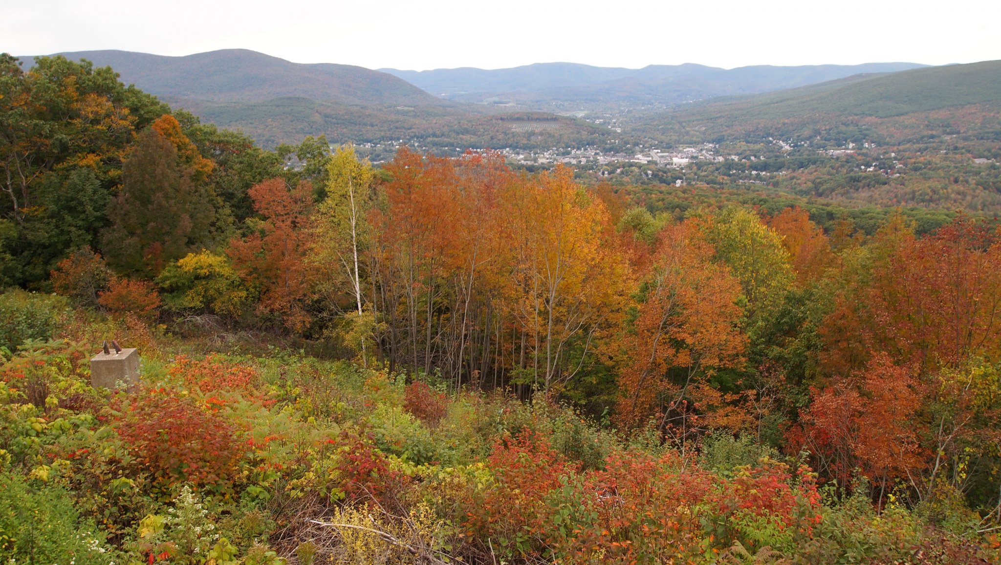 PA059921[1].JPG
